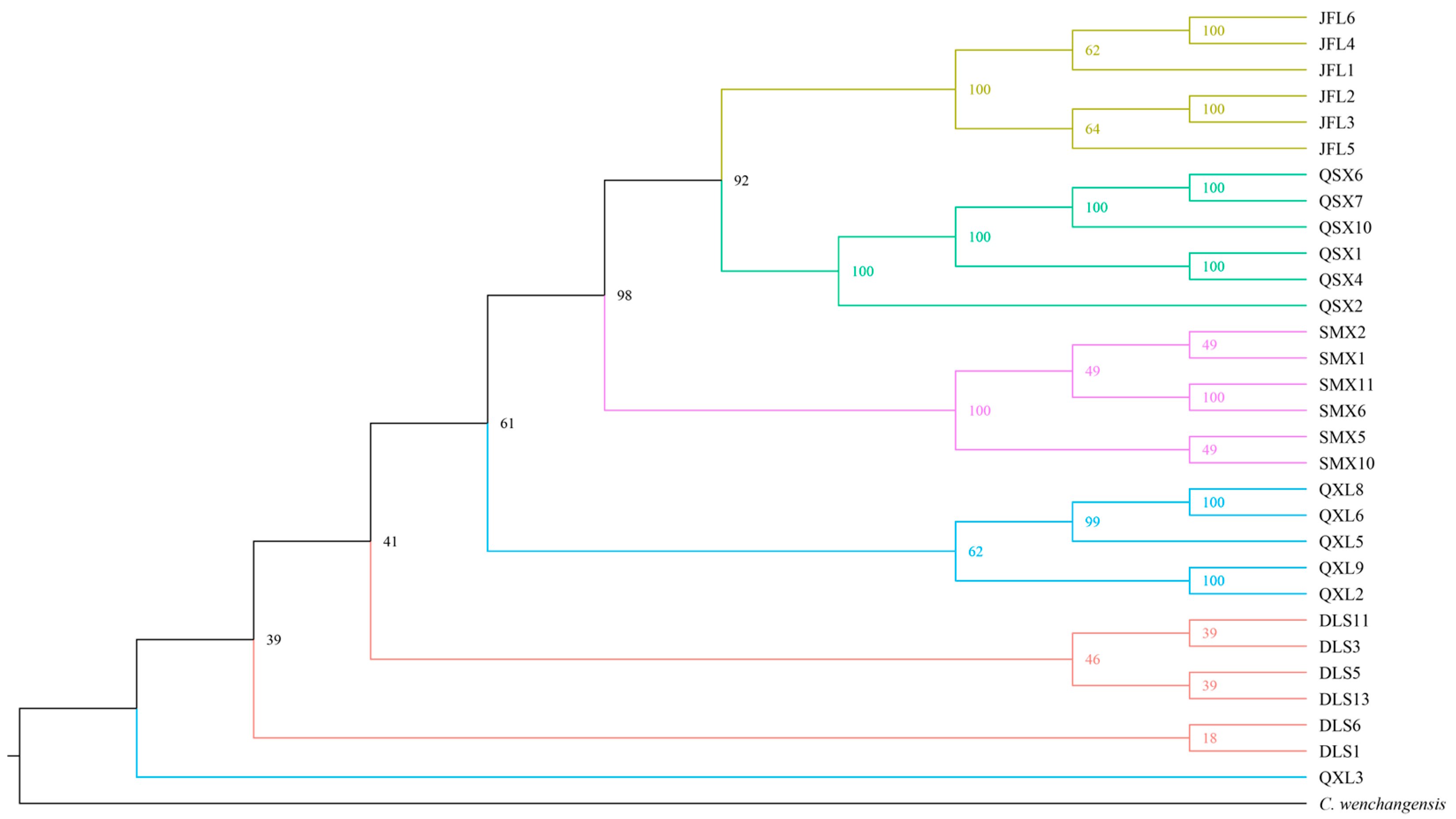 Plants 14 01128 g002