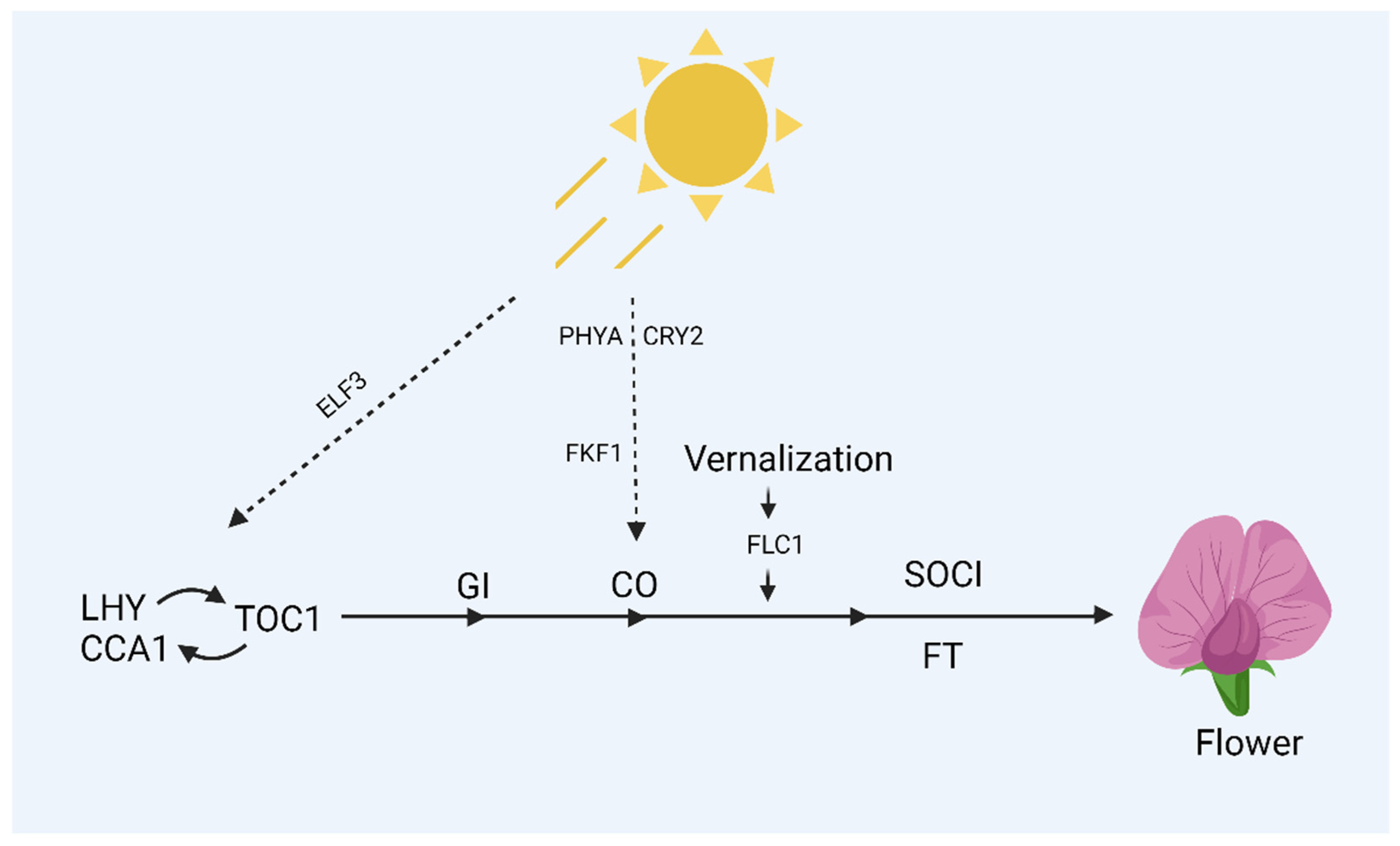 Plants 14 01131 g003