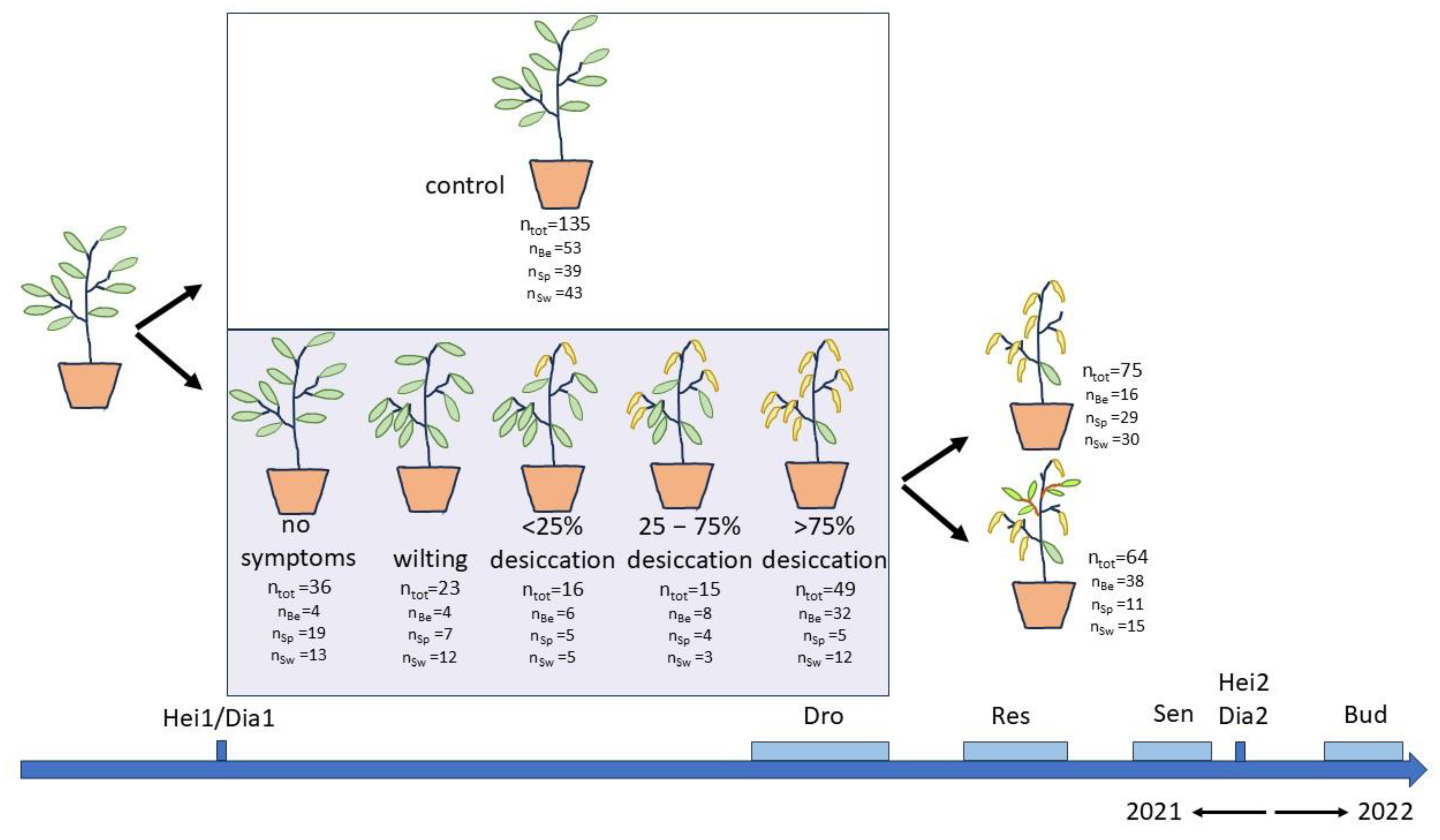 Plants 14 01132 g009