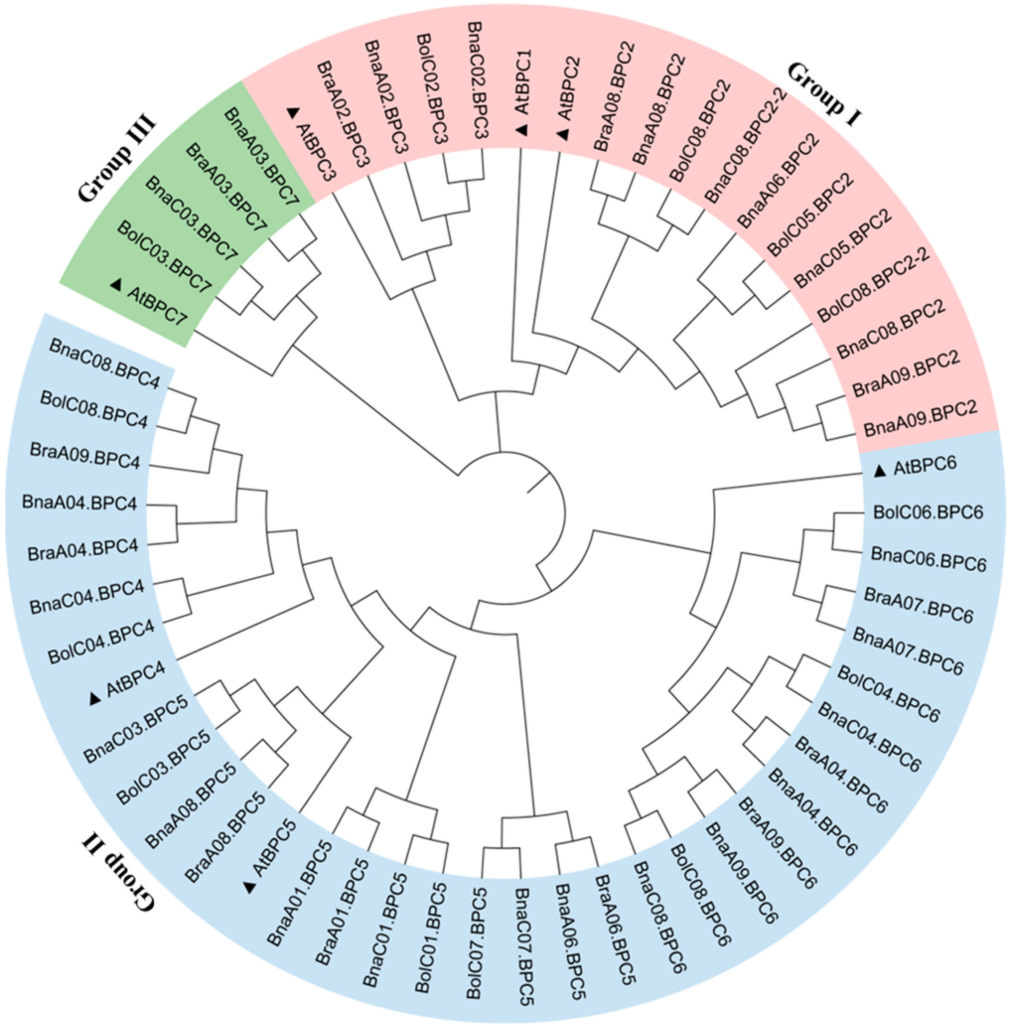 Plants 14 01136 g002