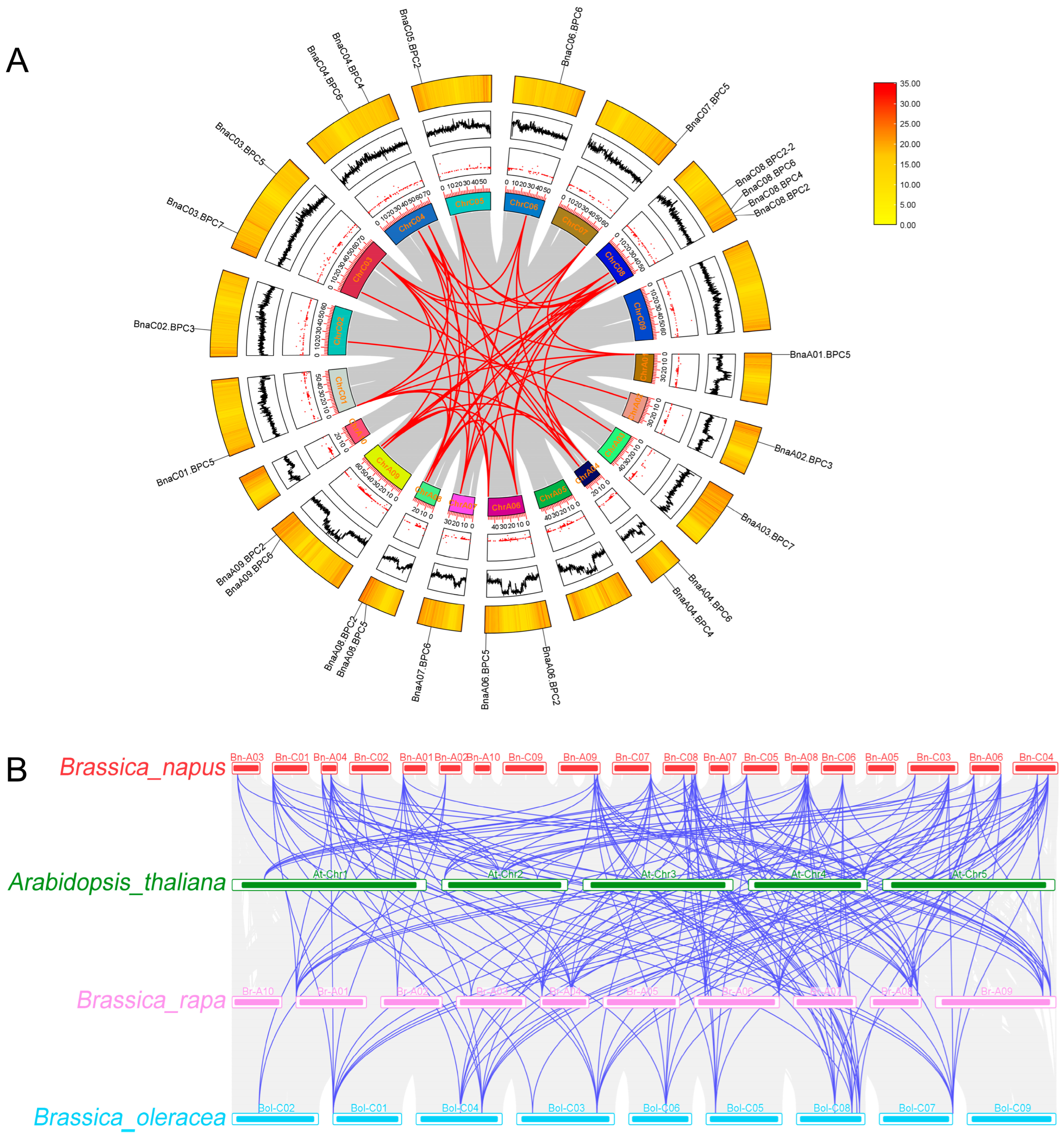 Plants 14 01136 g003