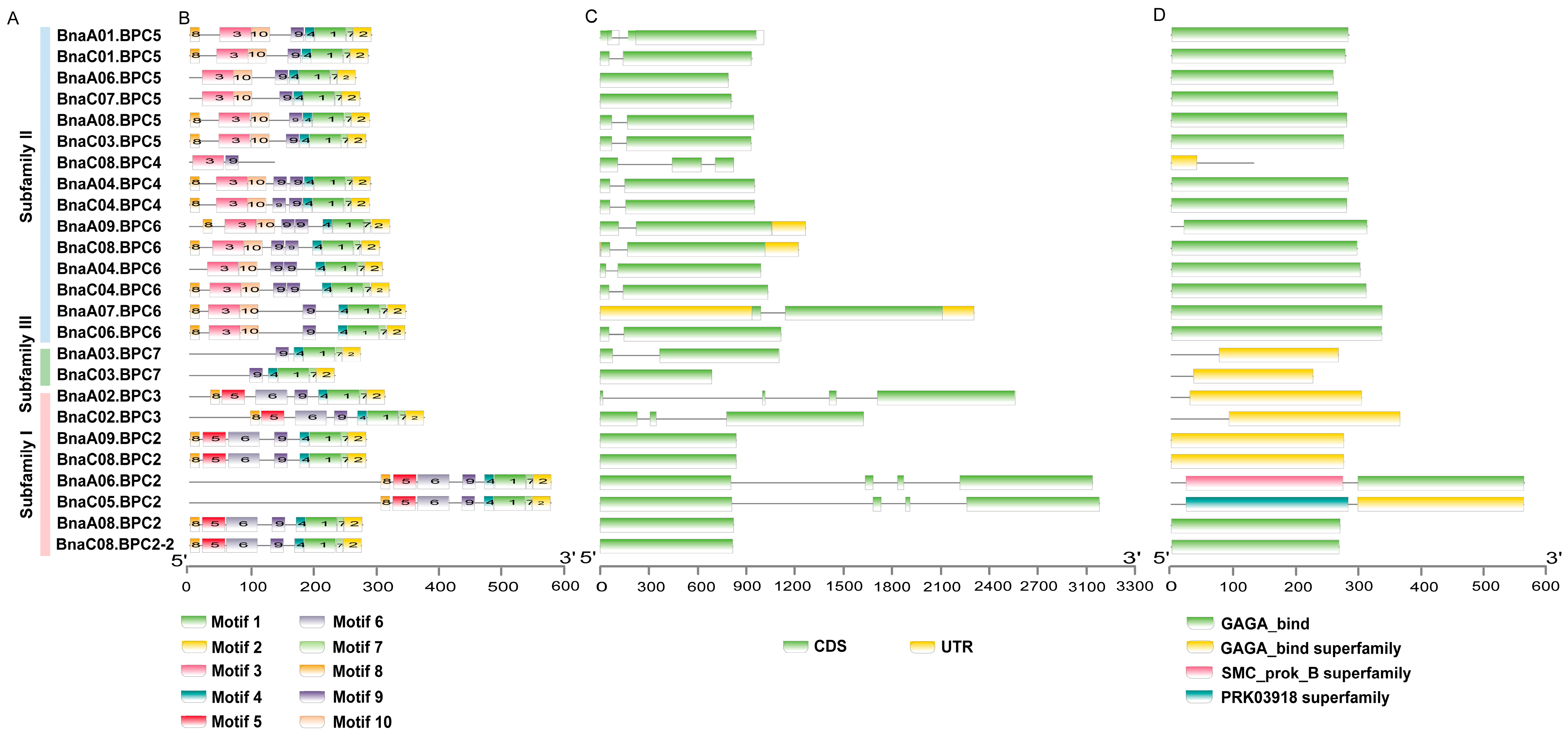 Plants 14 01136 g005