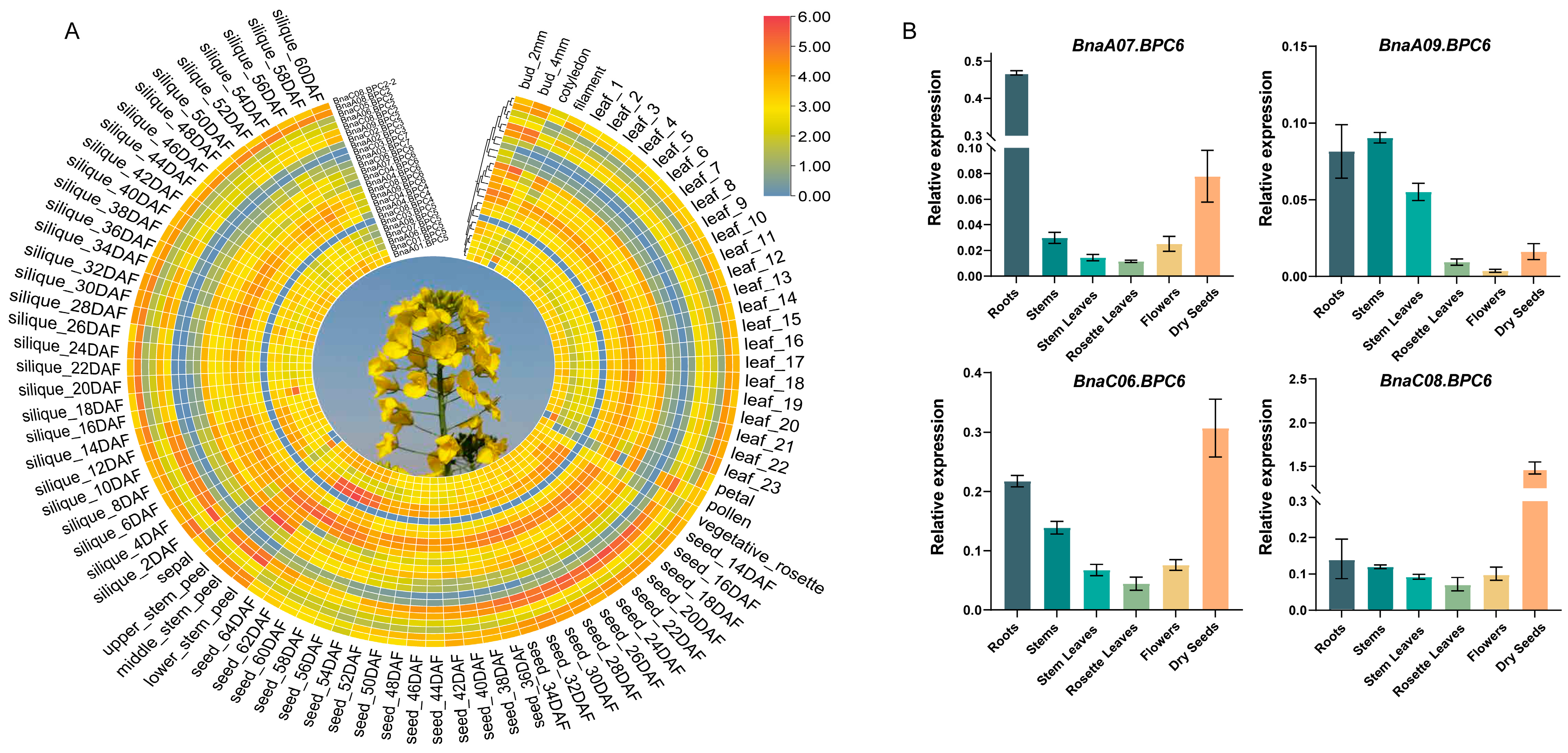 Plants 14 01136 g007
