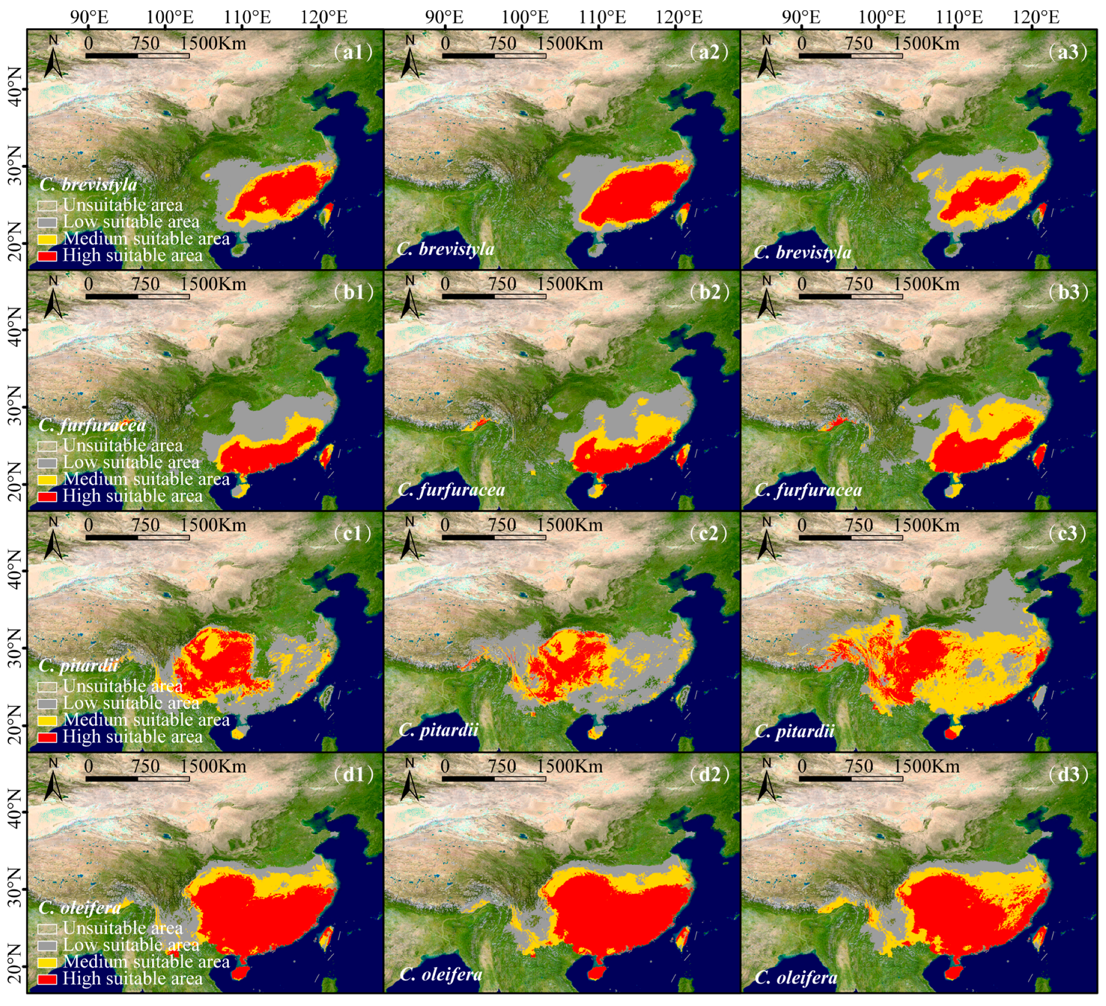 Plants 14 01137 g005