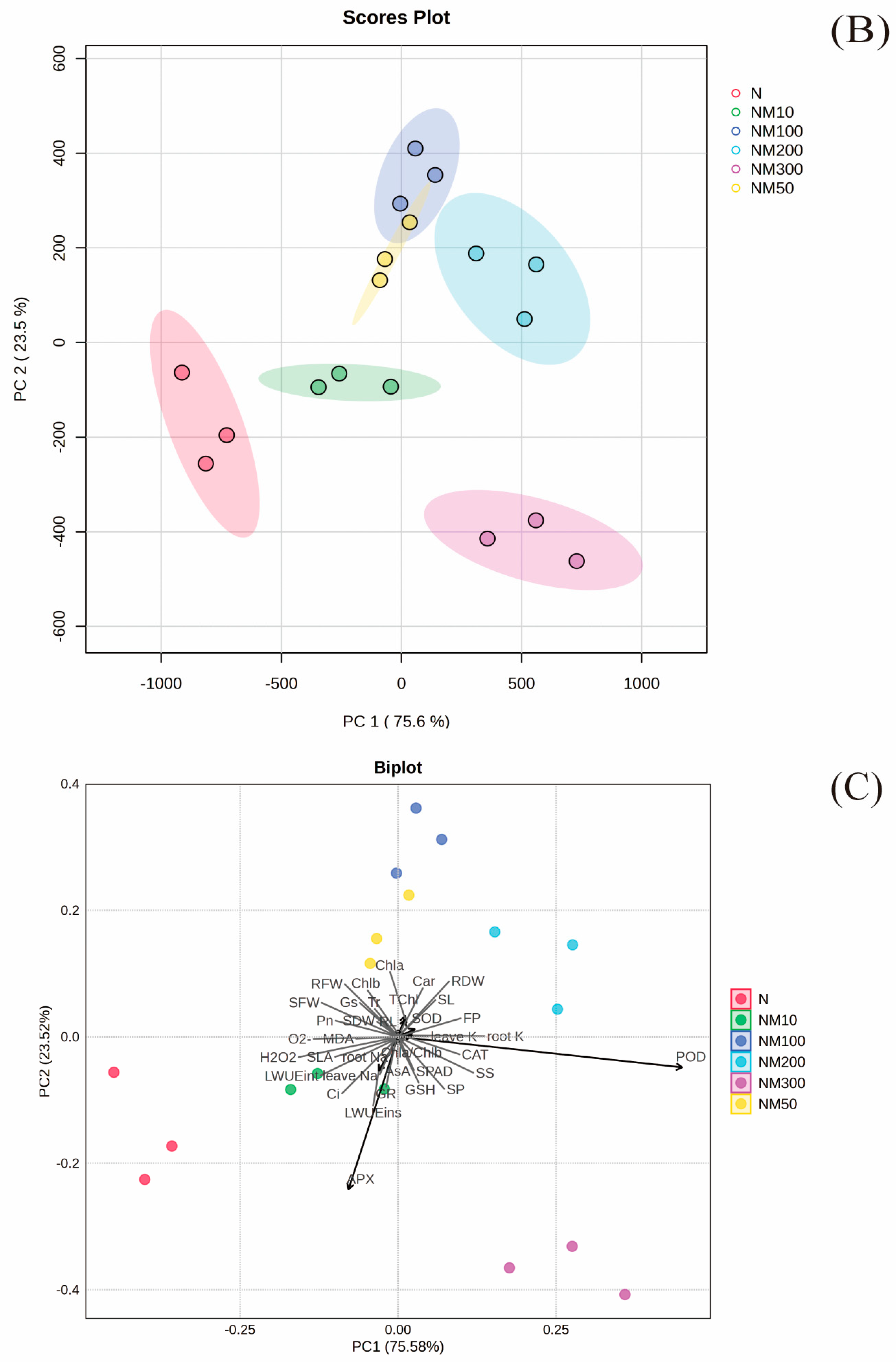 Plants 14 01139 g008b