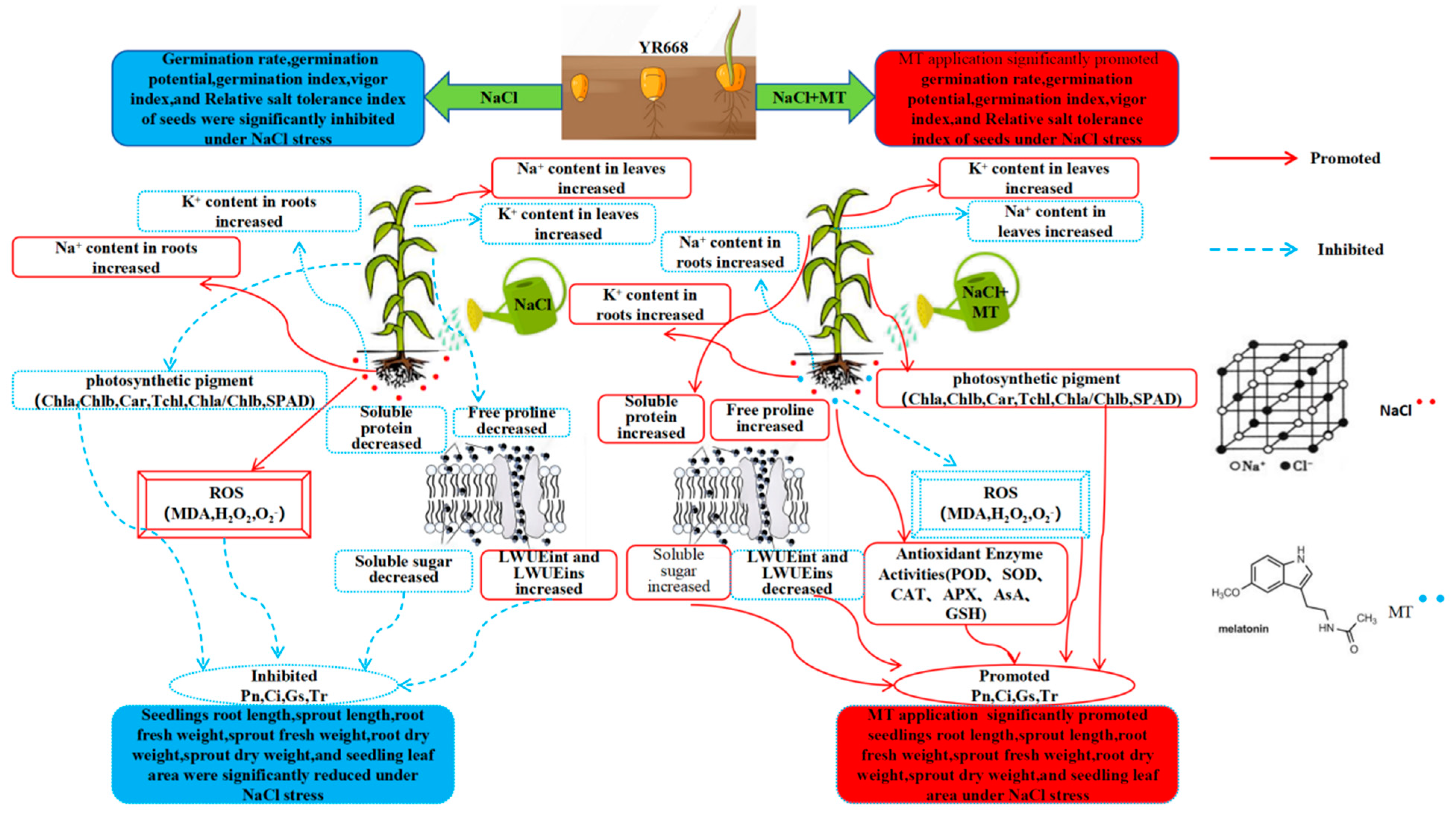 Plants 14 01139 g012