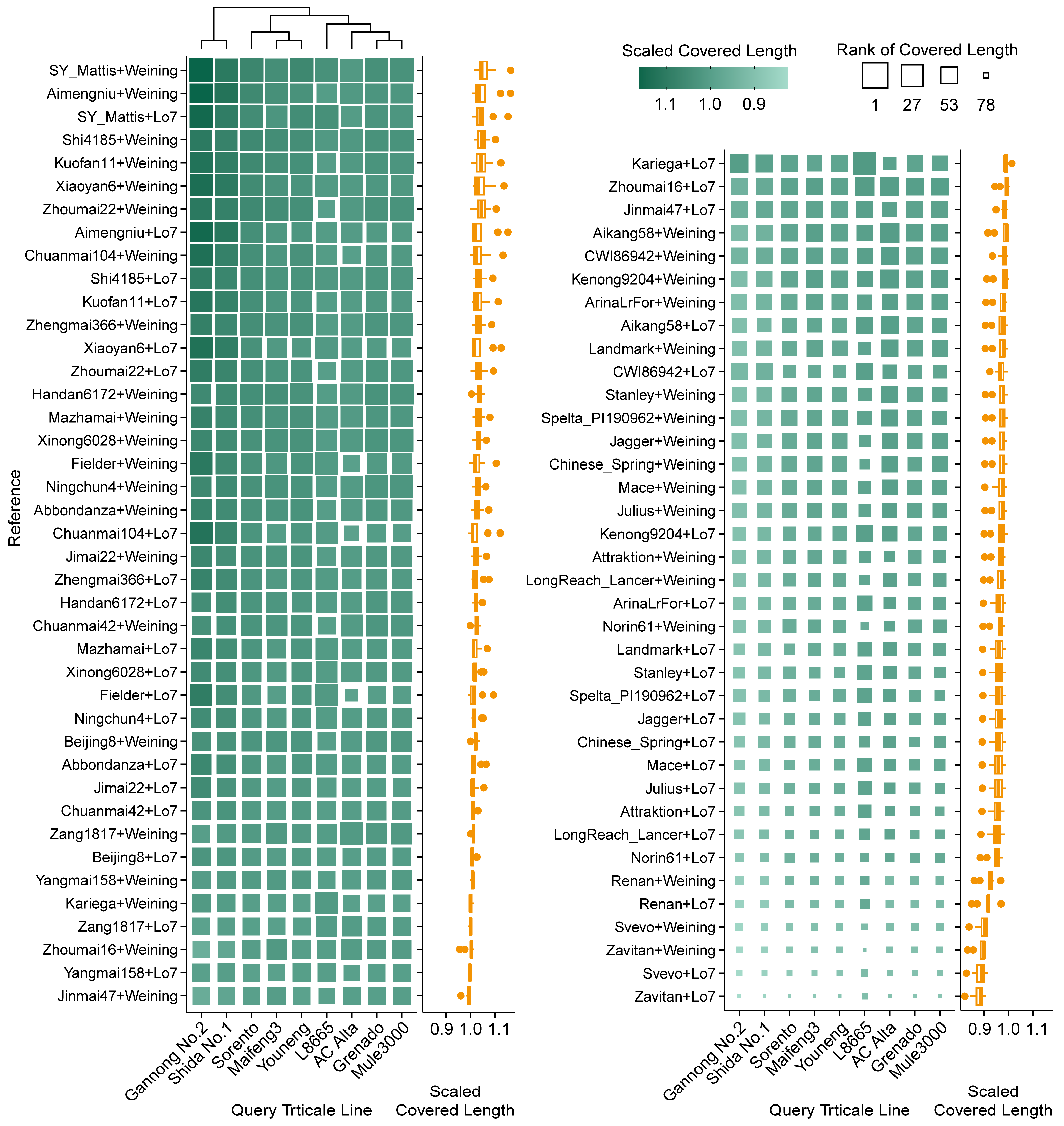 Plants 14 01140 g006