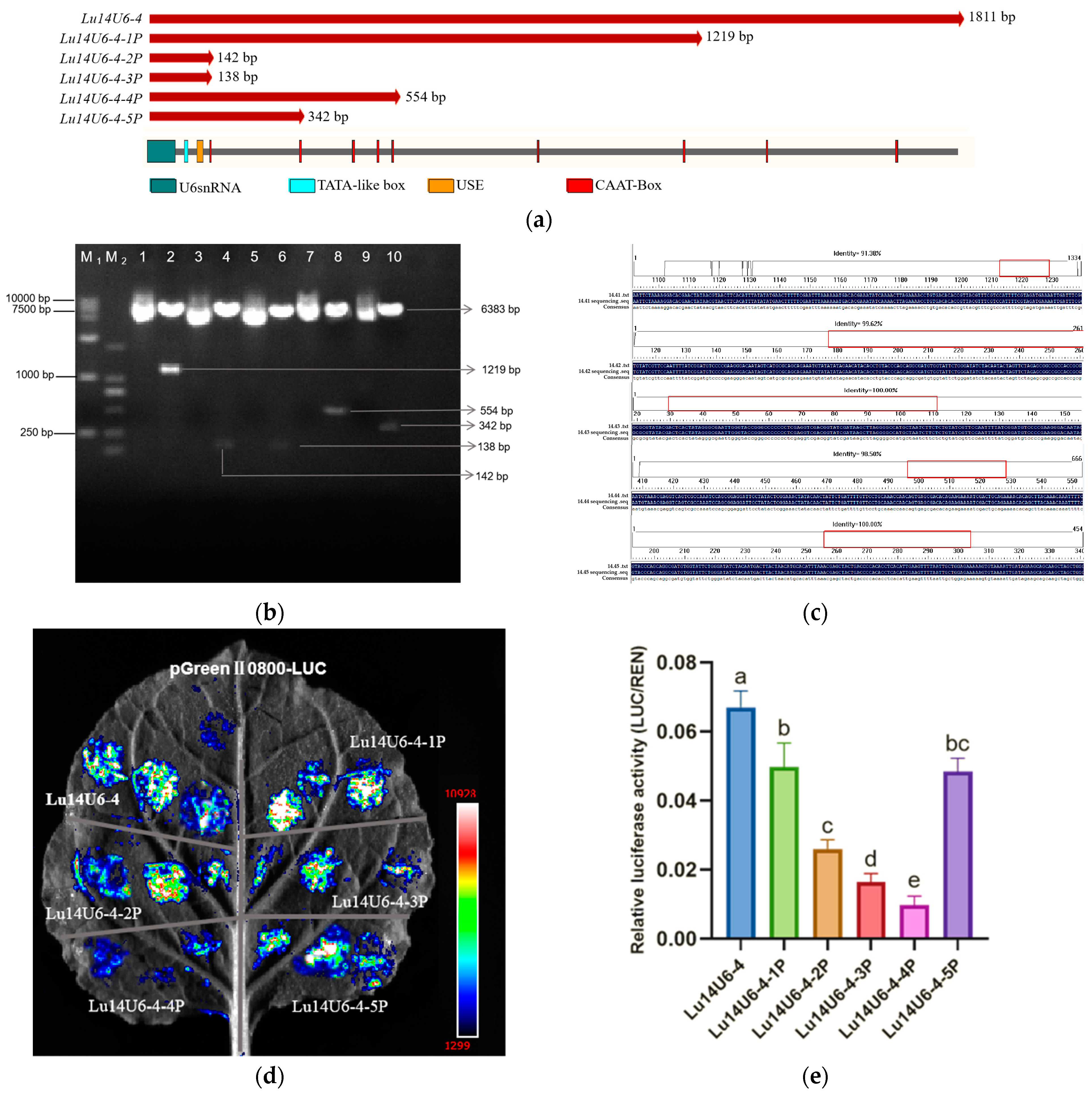 Plants 14 01142 g004a