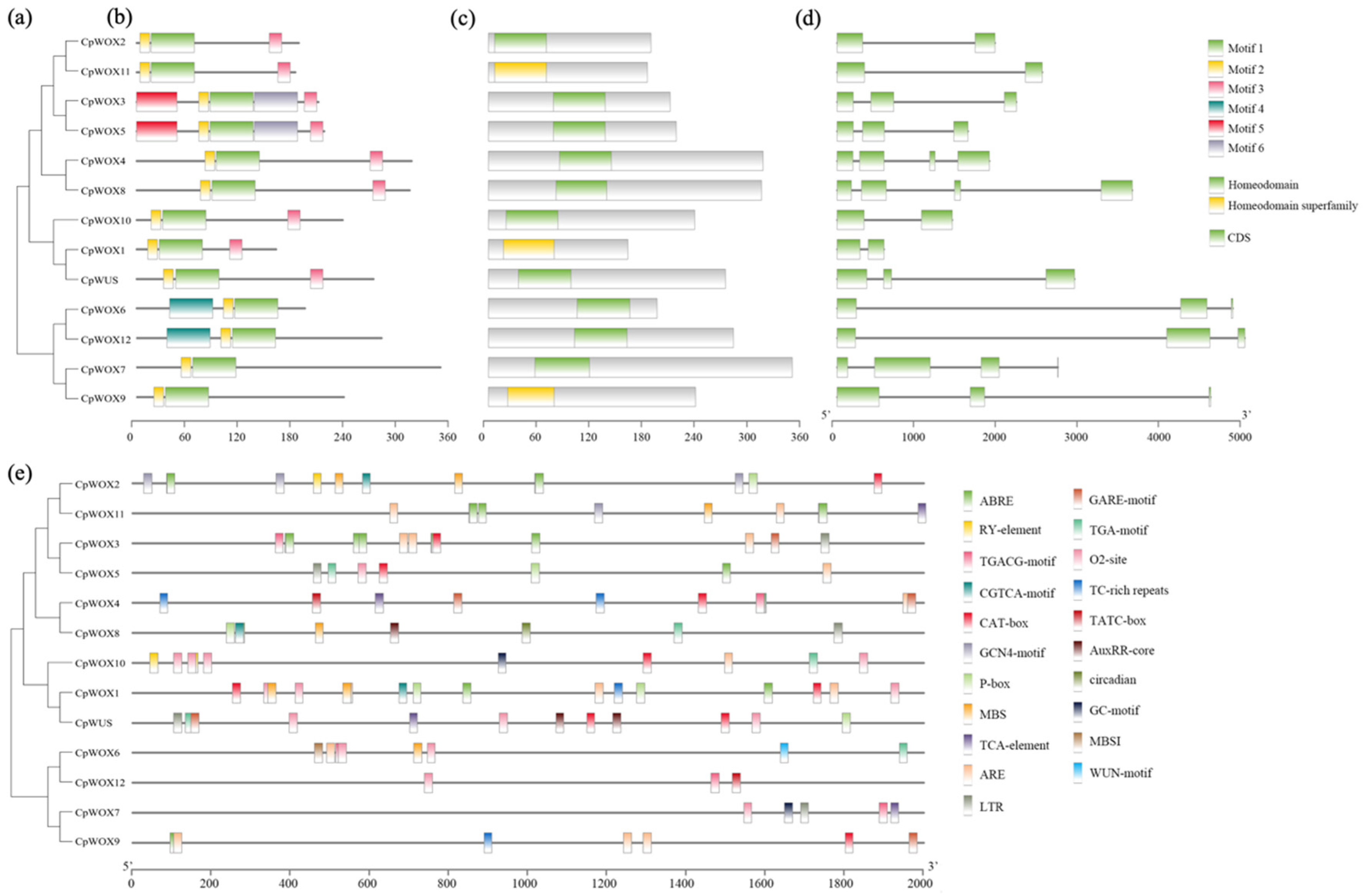 Plants 14 01144 g002