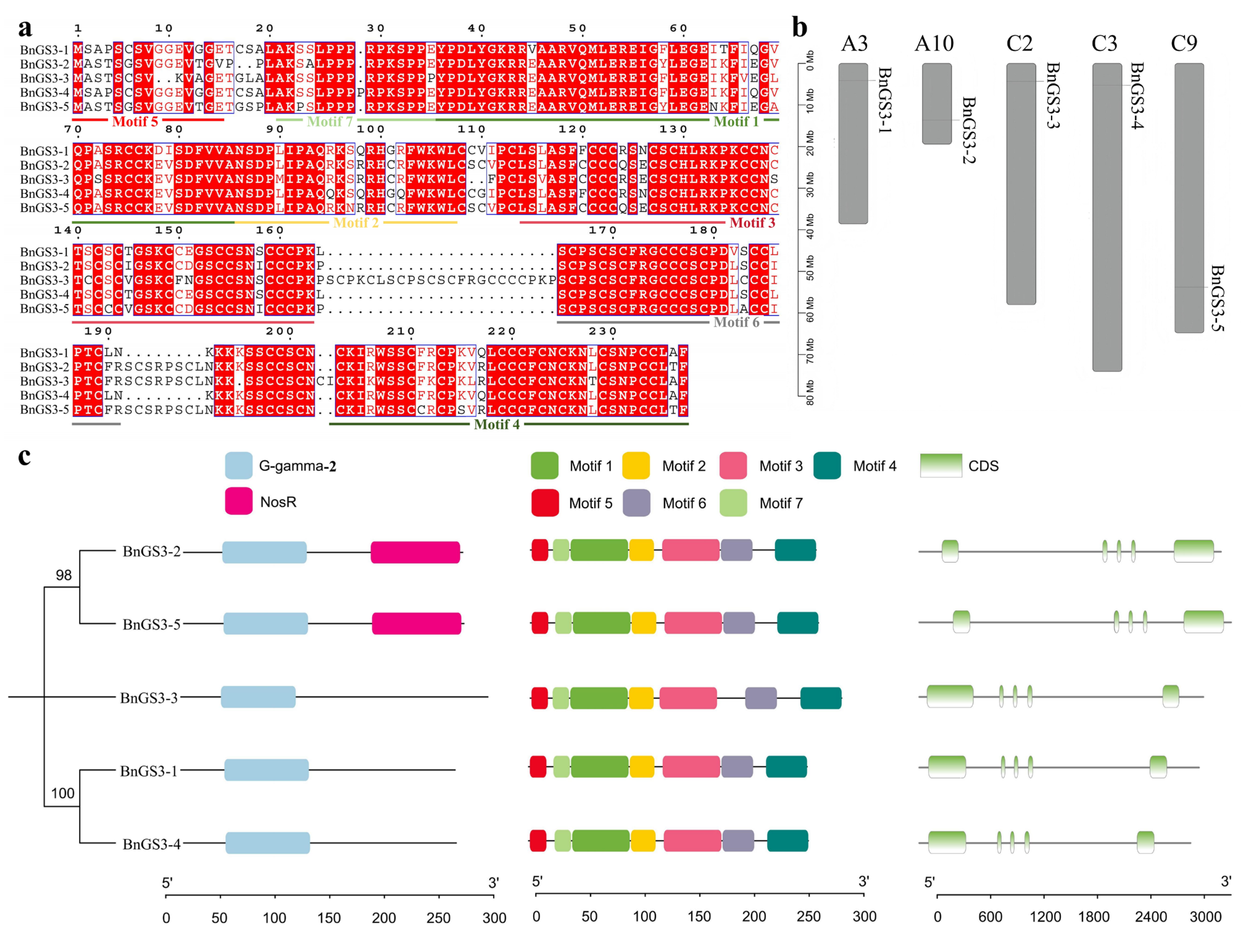Plants 14 01145 g001