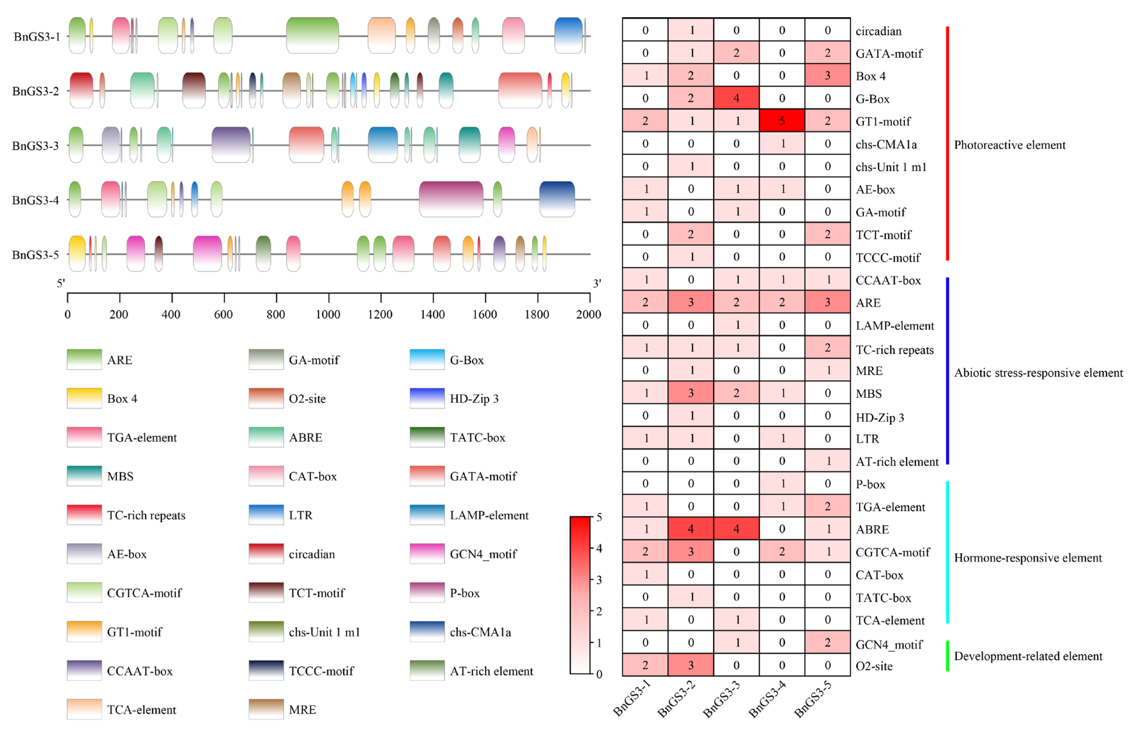 Plants 14 01145 g002