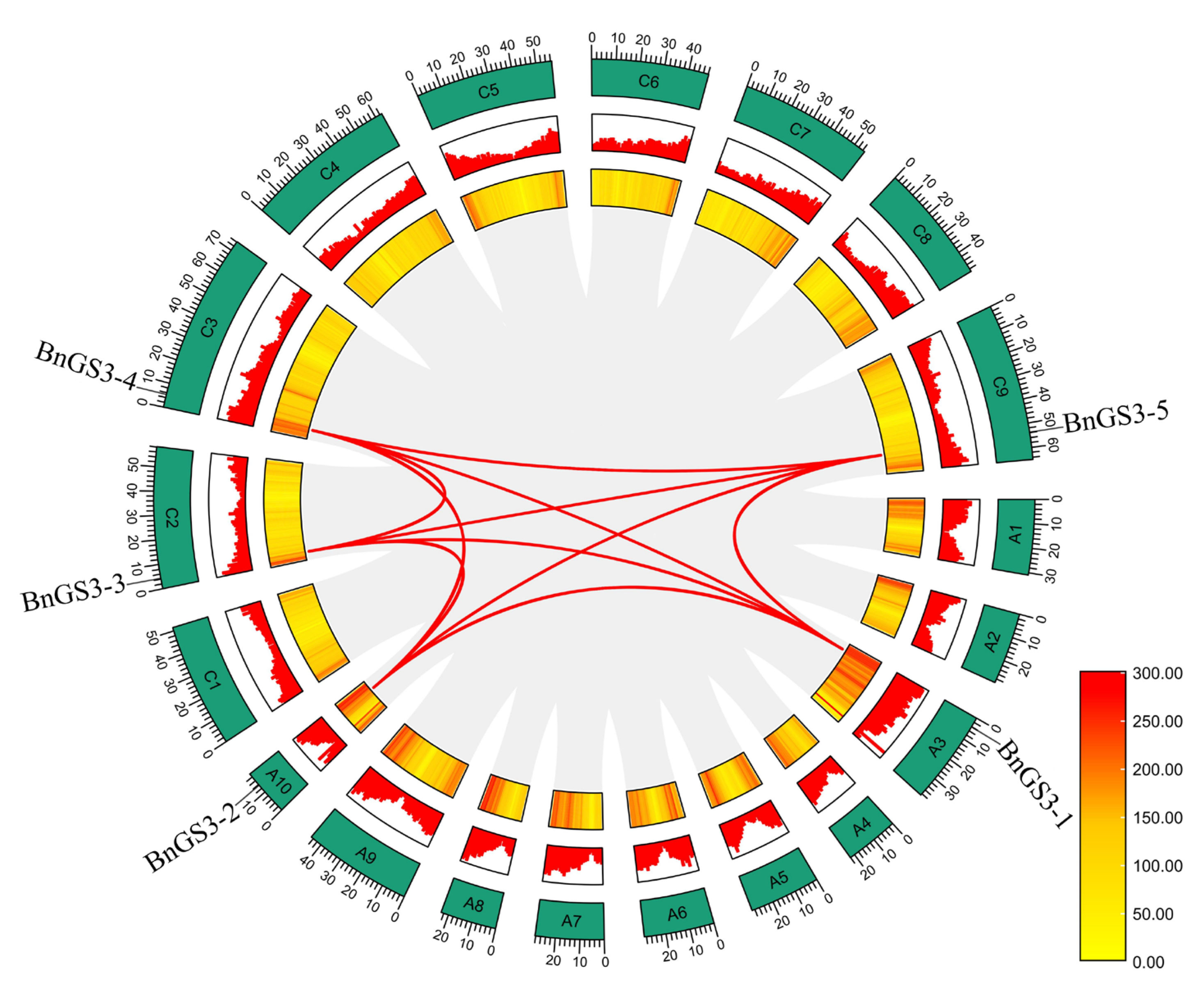 Plants 14 01145 g003