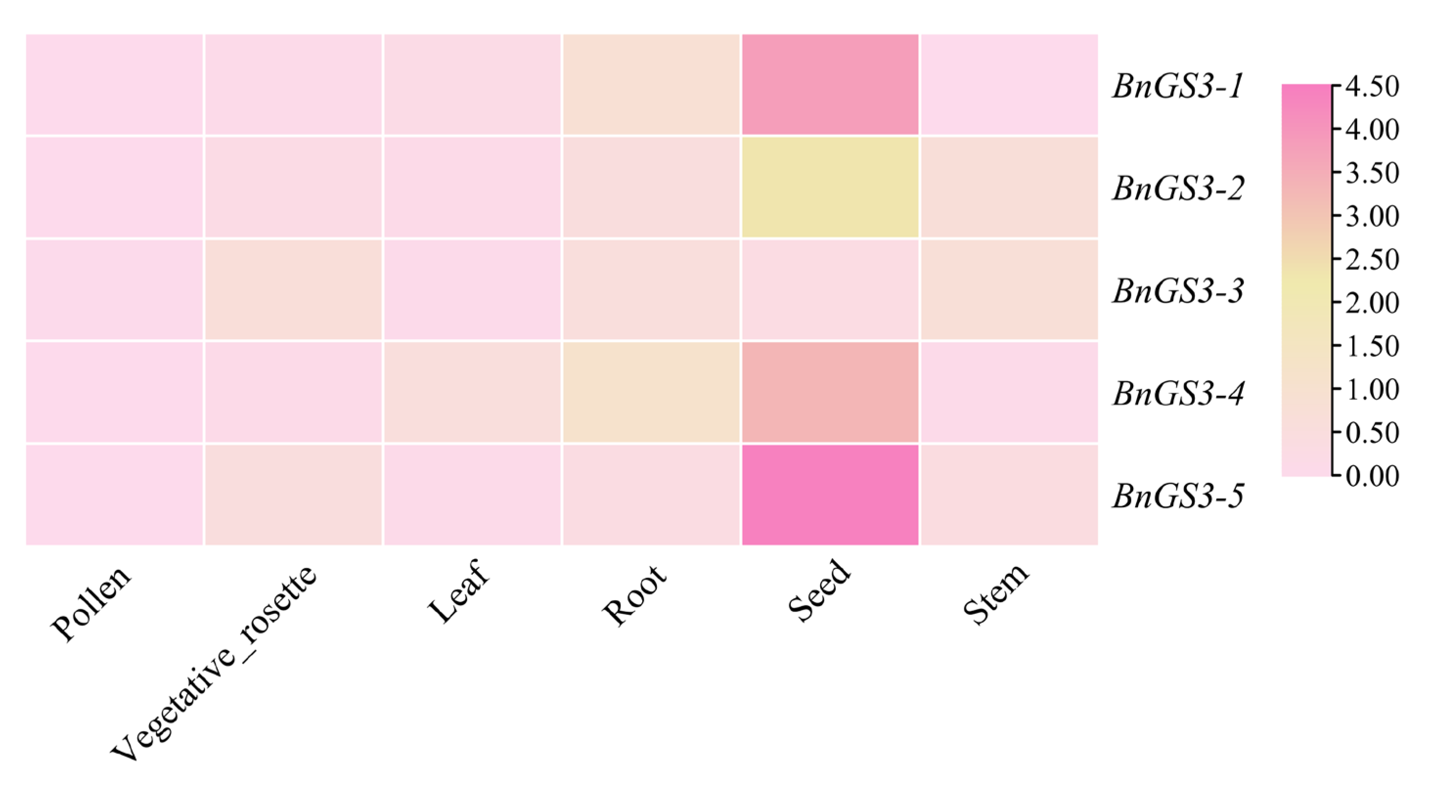 Plants 14 01145 g004