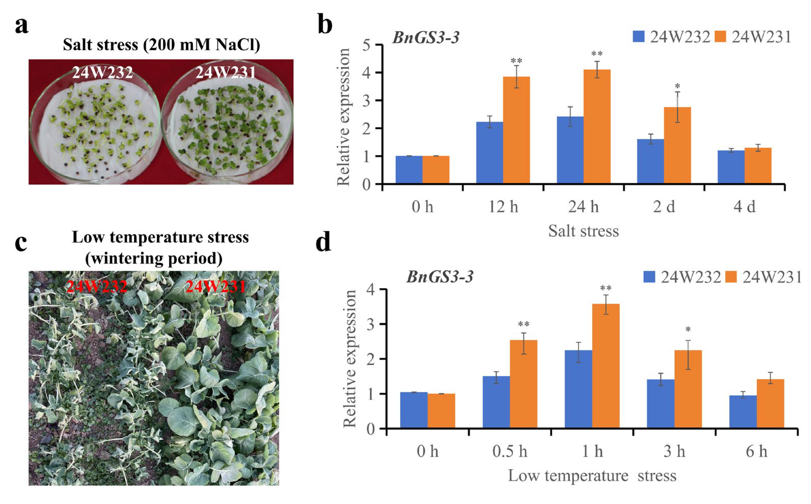 Plants 14 01145 g006