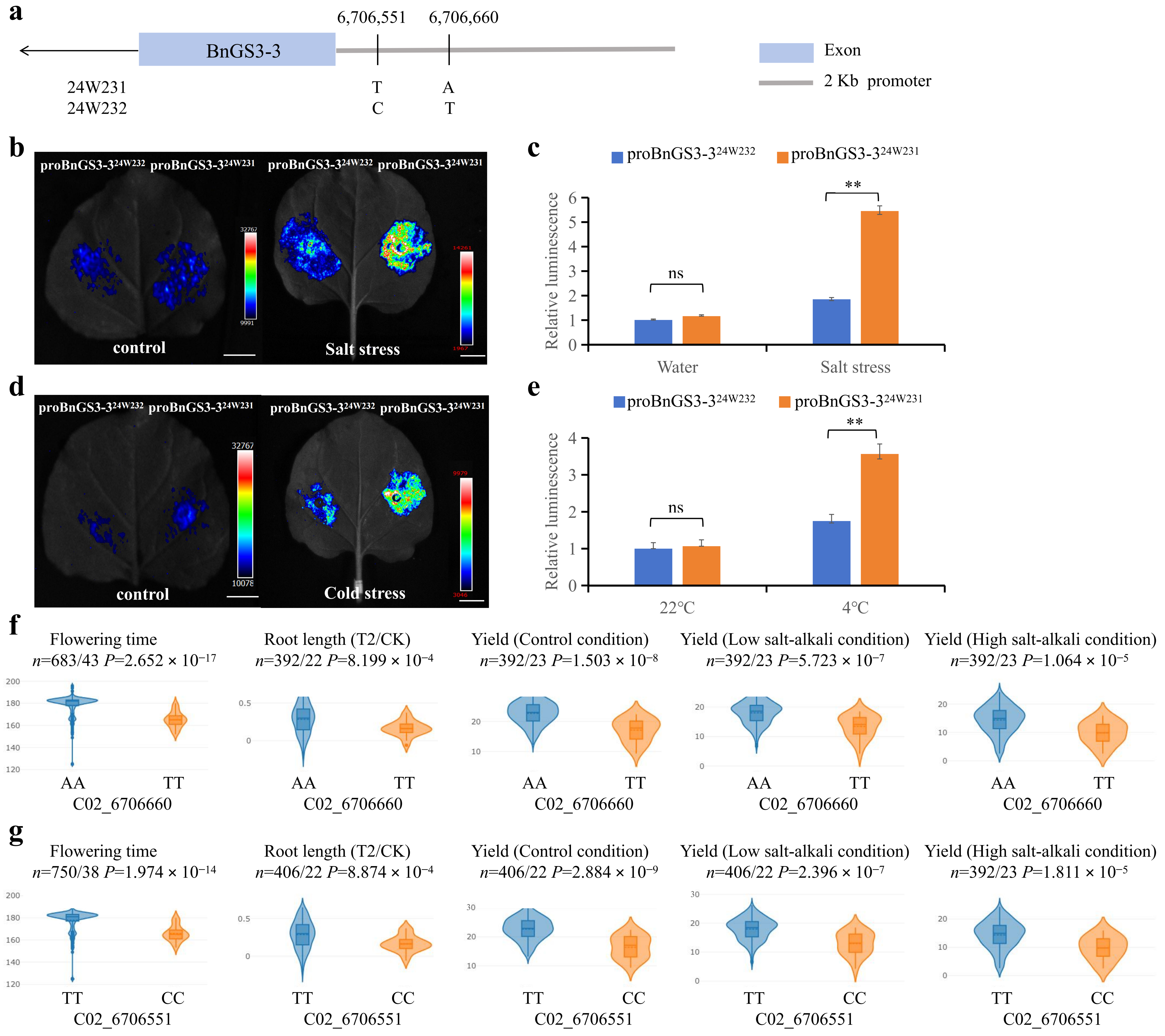 Plants 14 01145 g007