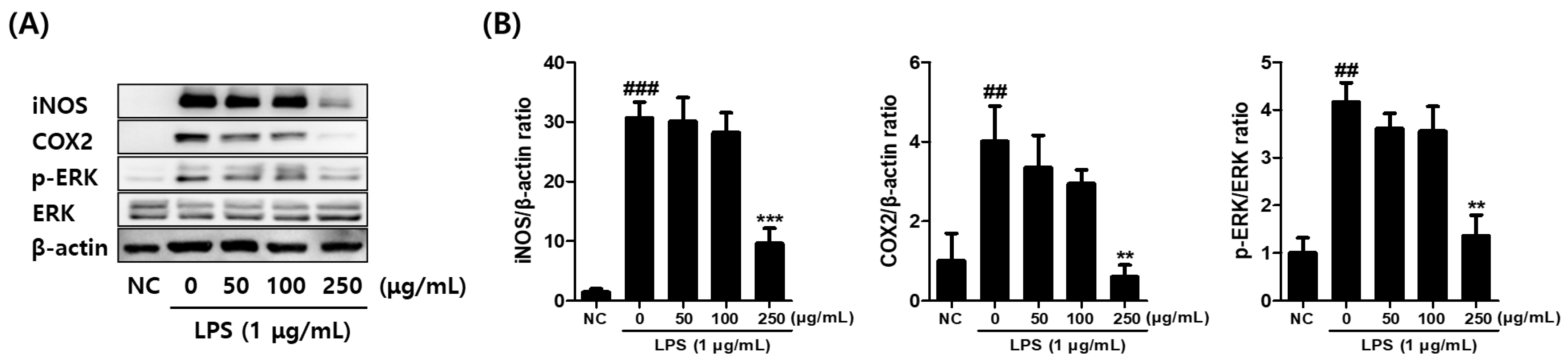 Plants 14 01148 g005