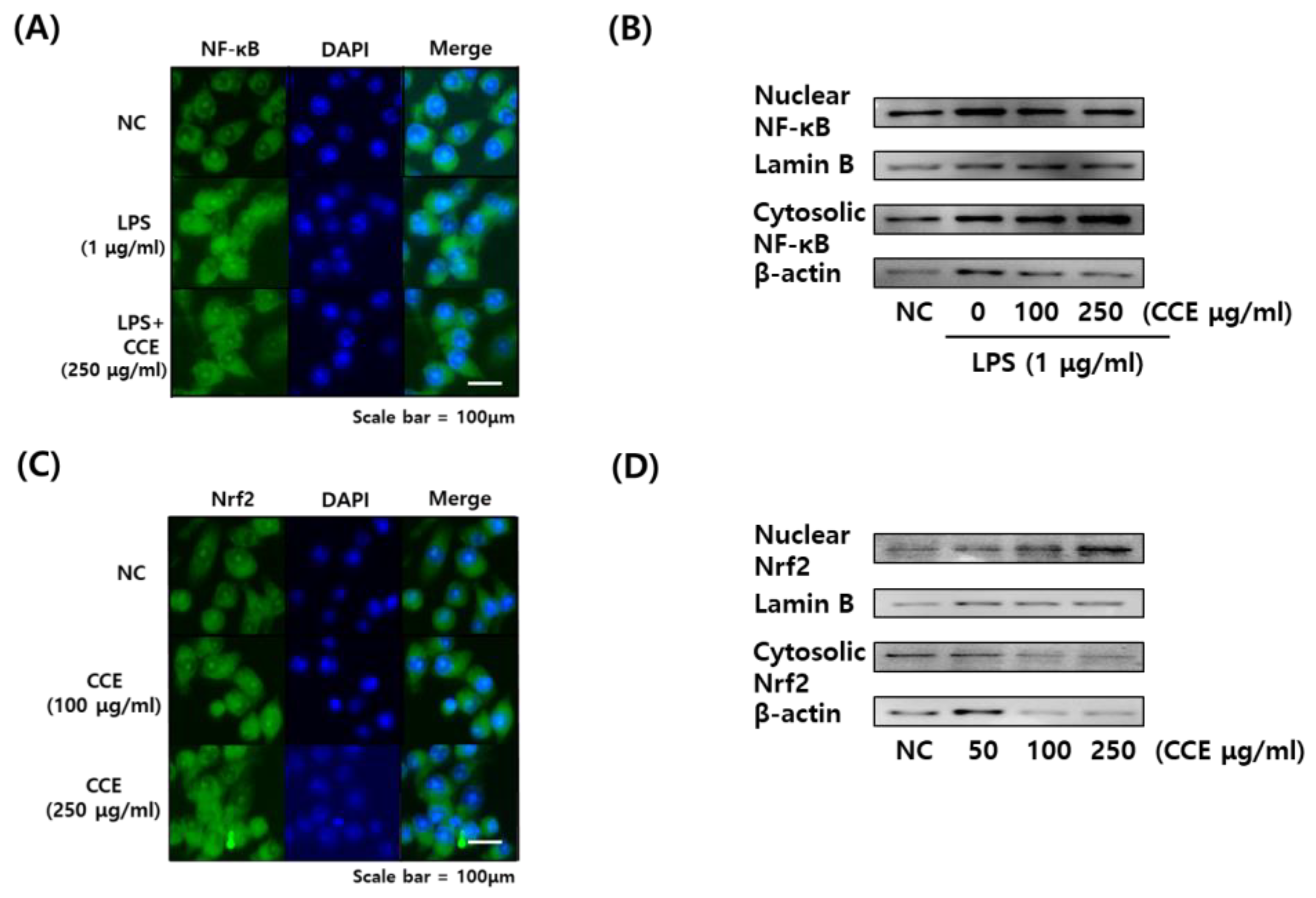 Plants 14 01148 g006