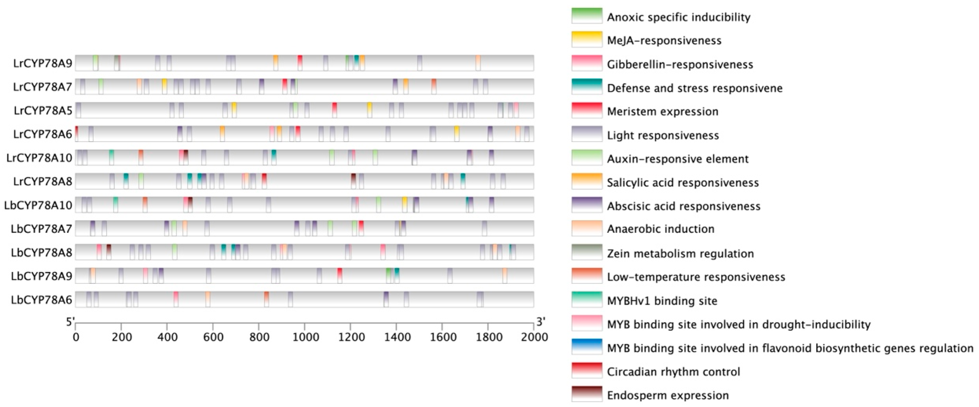 Plants 14 01152 g002