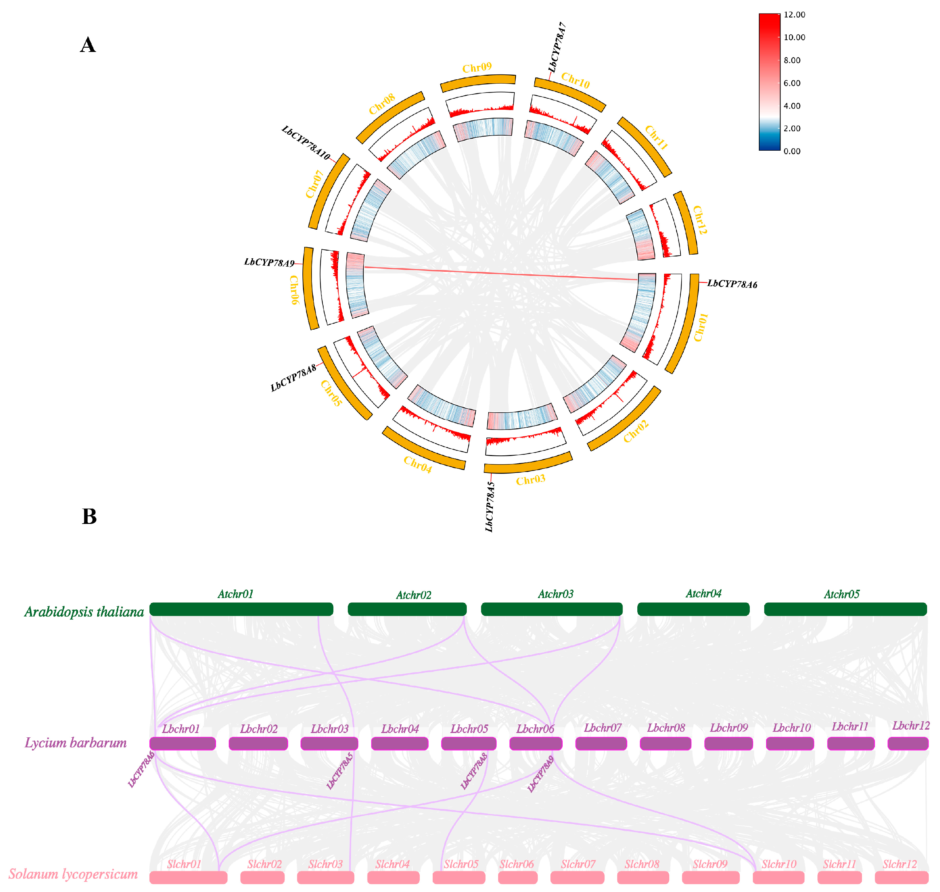 Plants 14 01152 g004