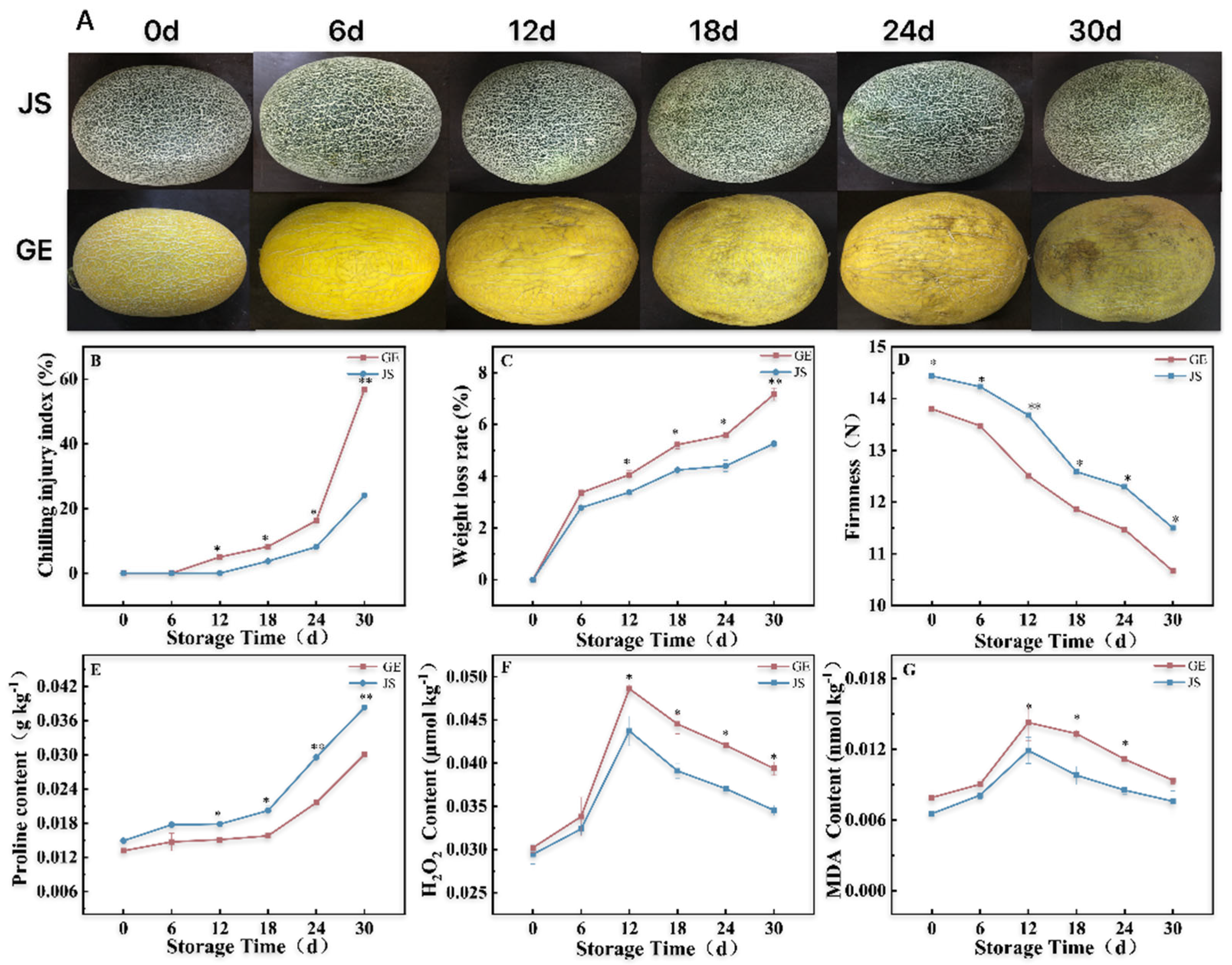 Plants 14 01153 g001