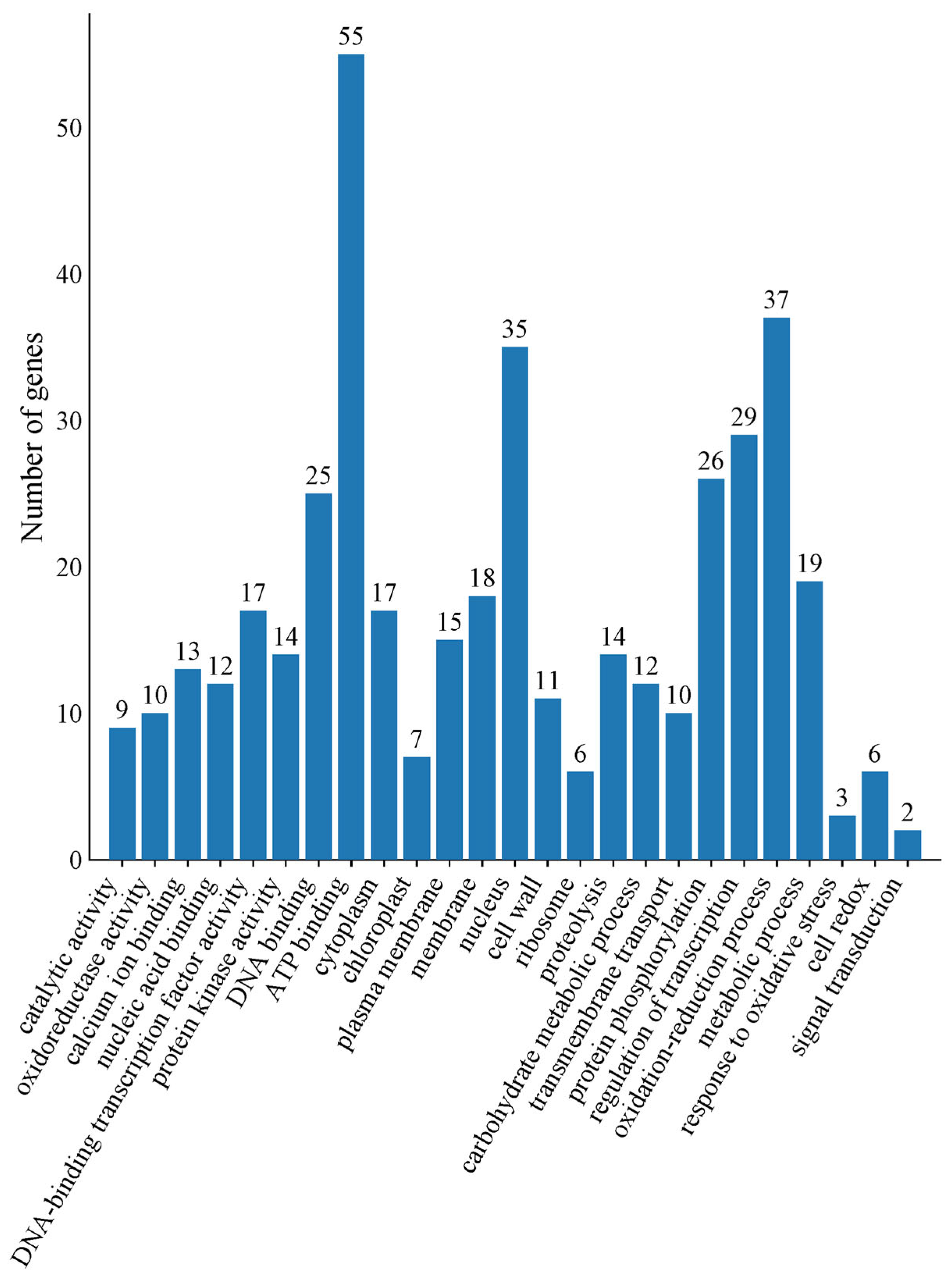 Plants 14 01153 g004