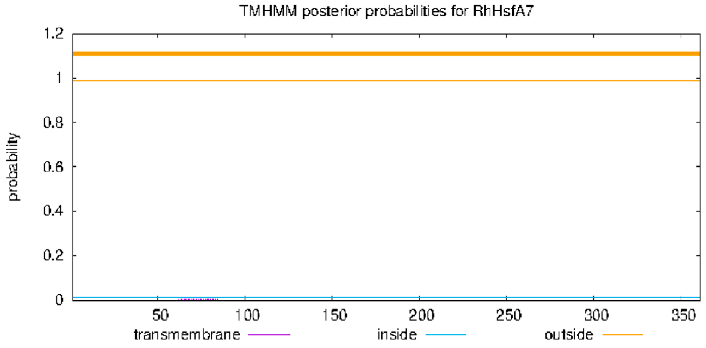 Plants 14 01155 g002
