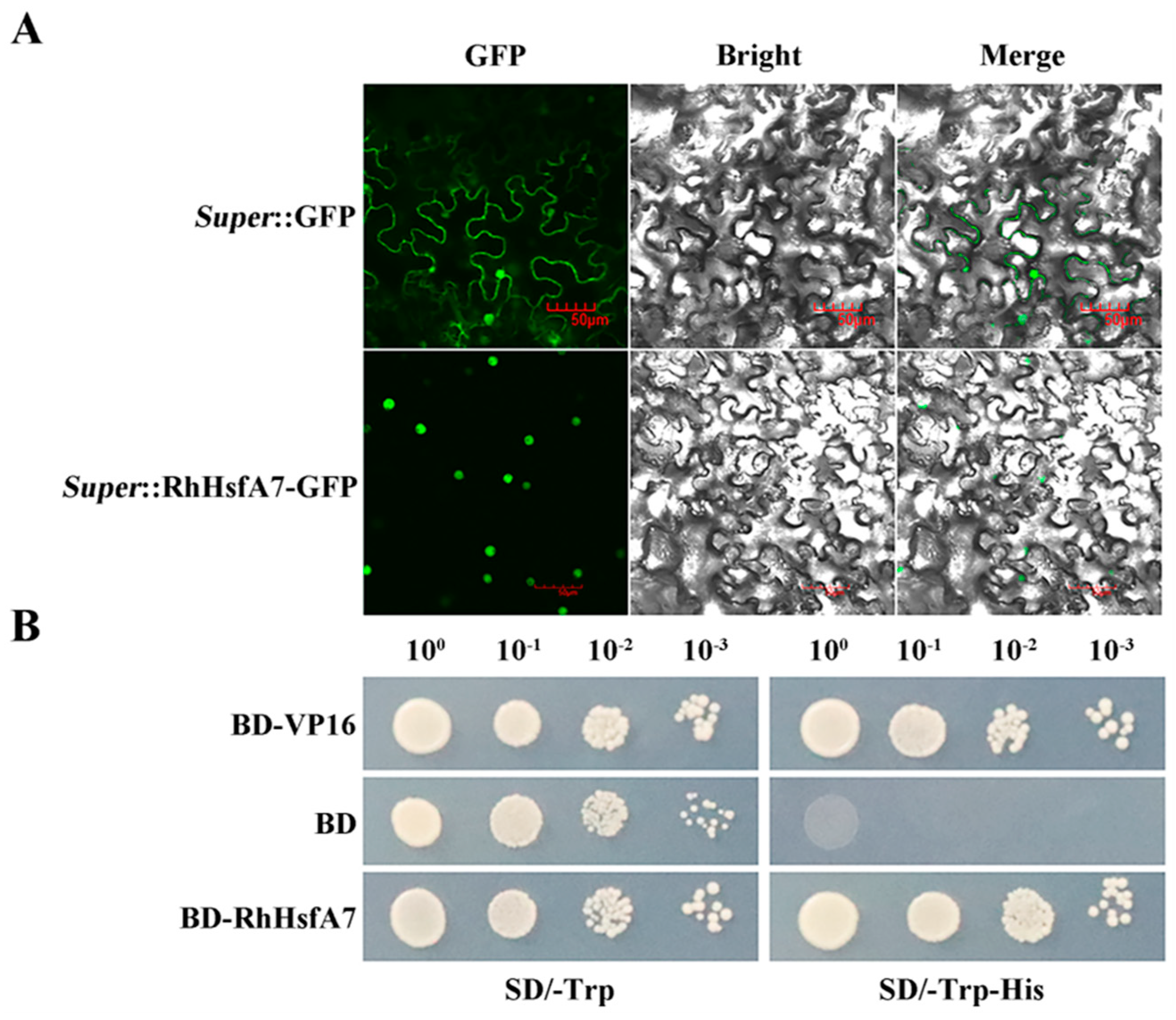 Plants 14 01155 g006