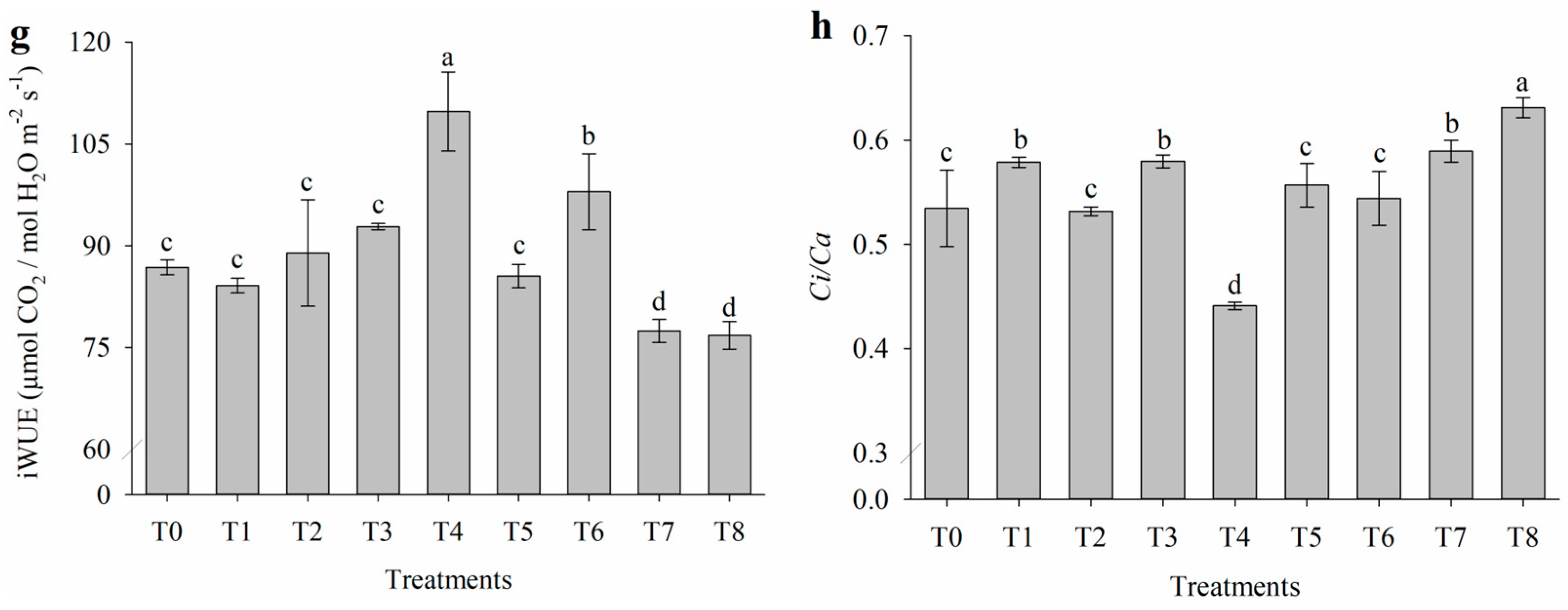 Plants 14 01156 g001b