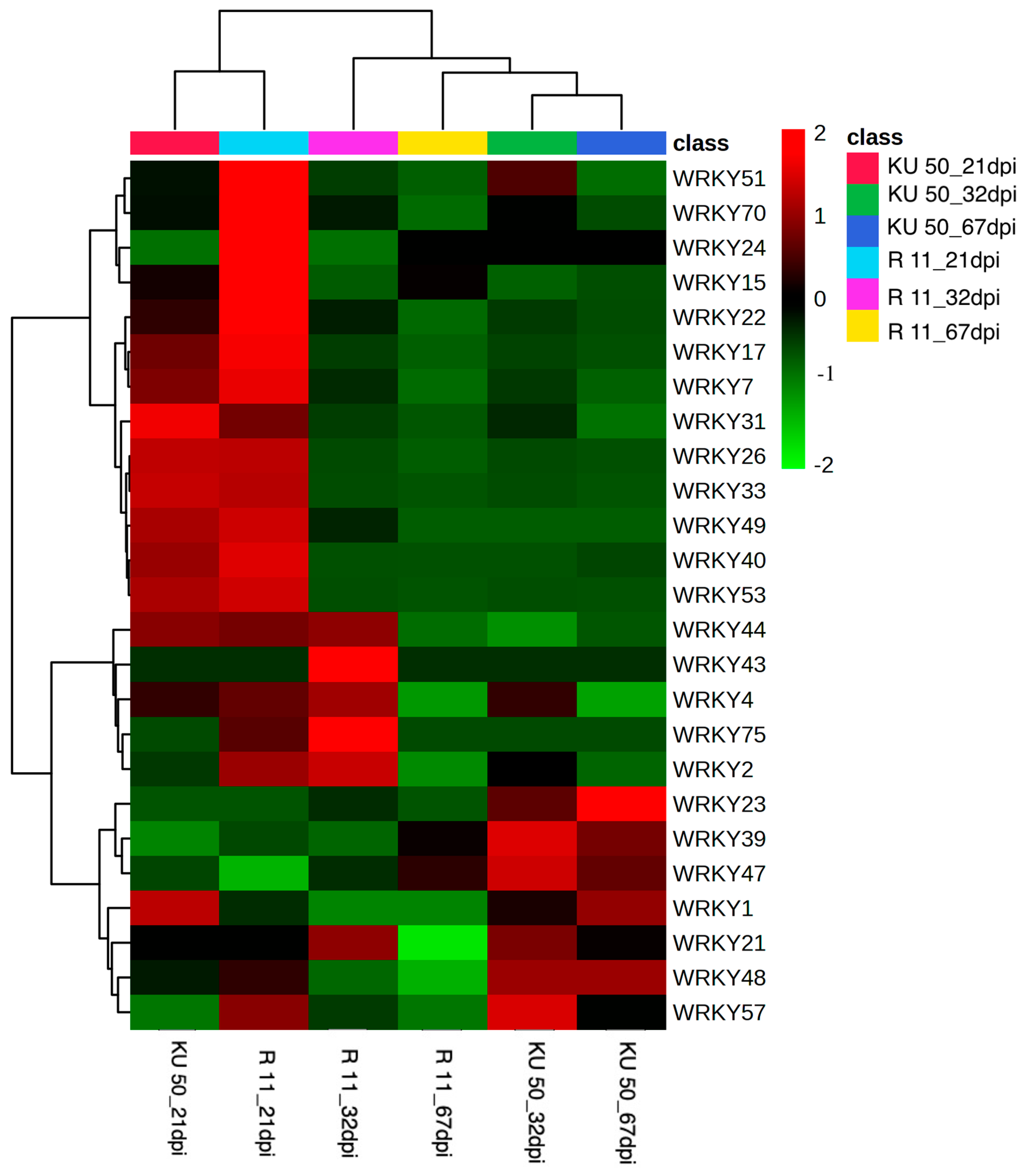 Plants 14 01159 g002