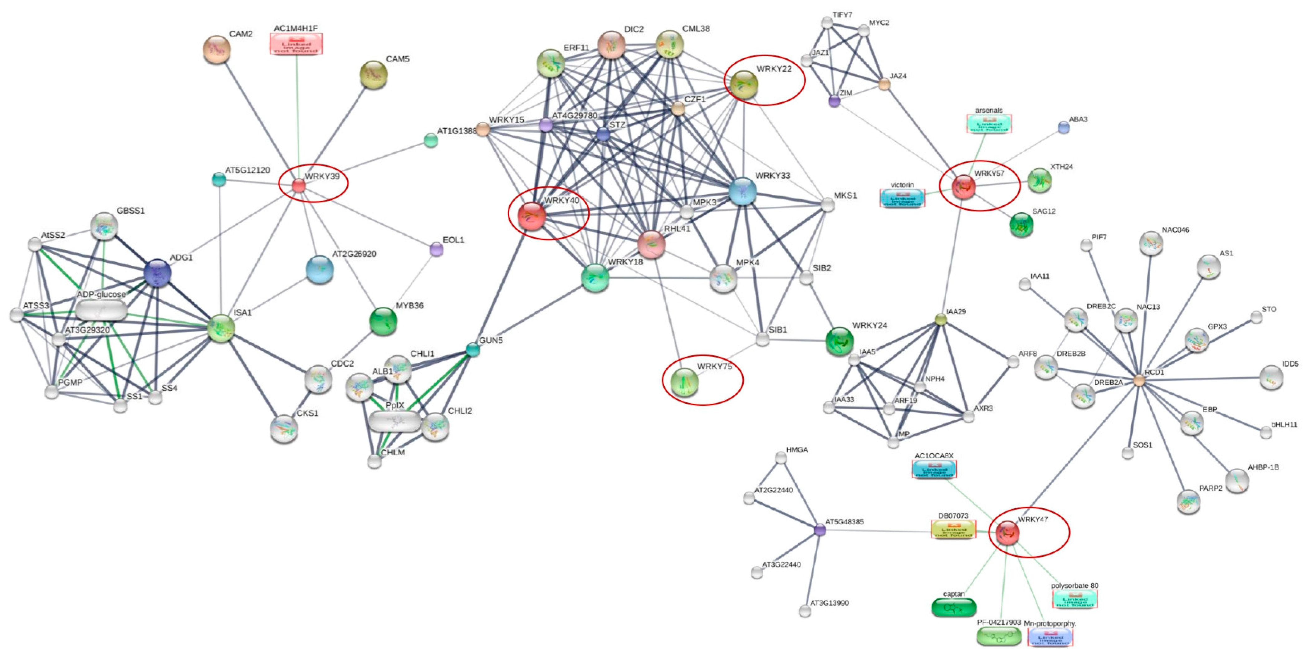 Plants 14 01159 g005