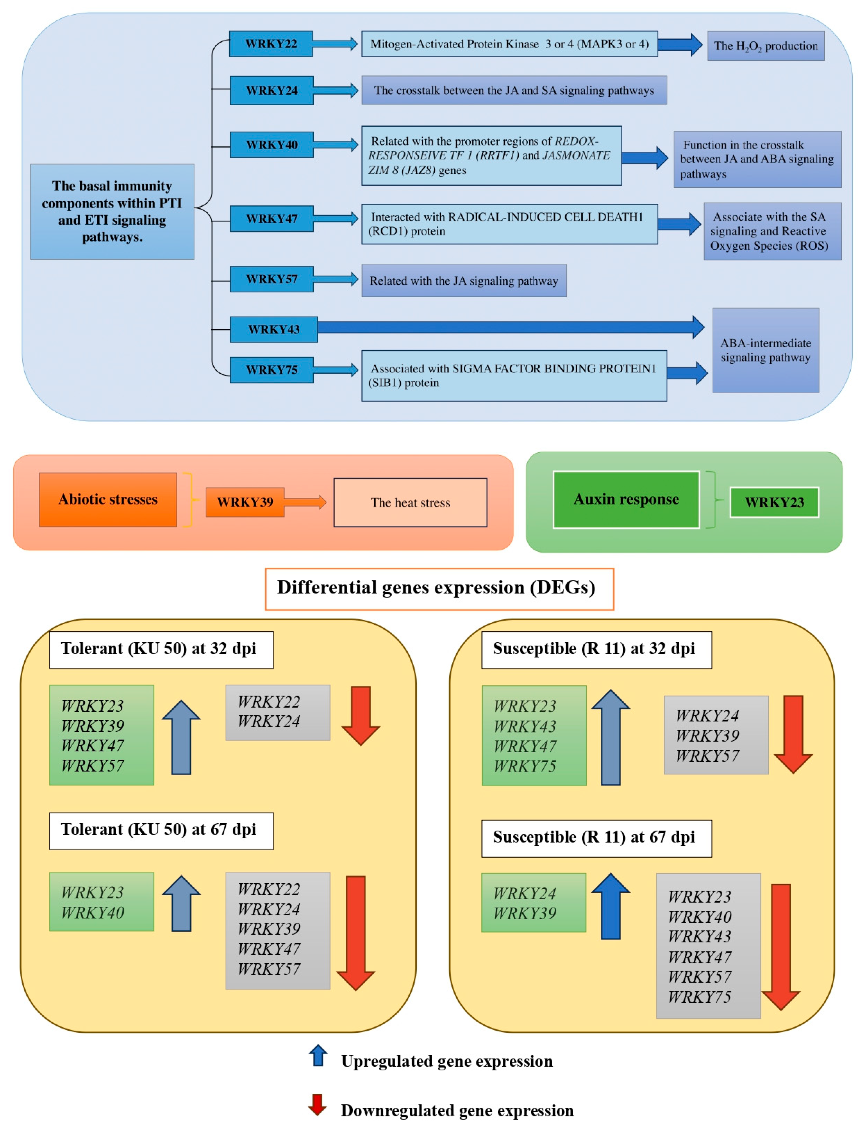 Plants 14 01159 g006
