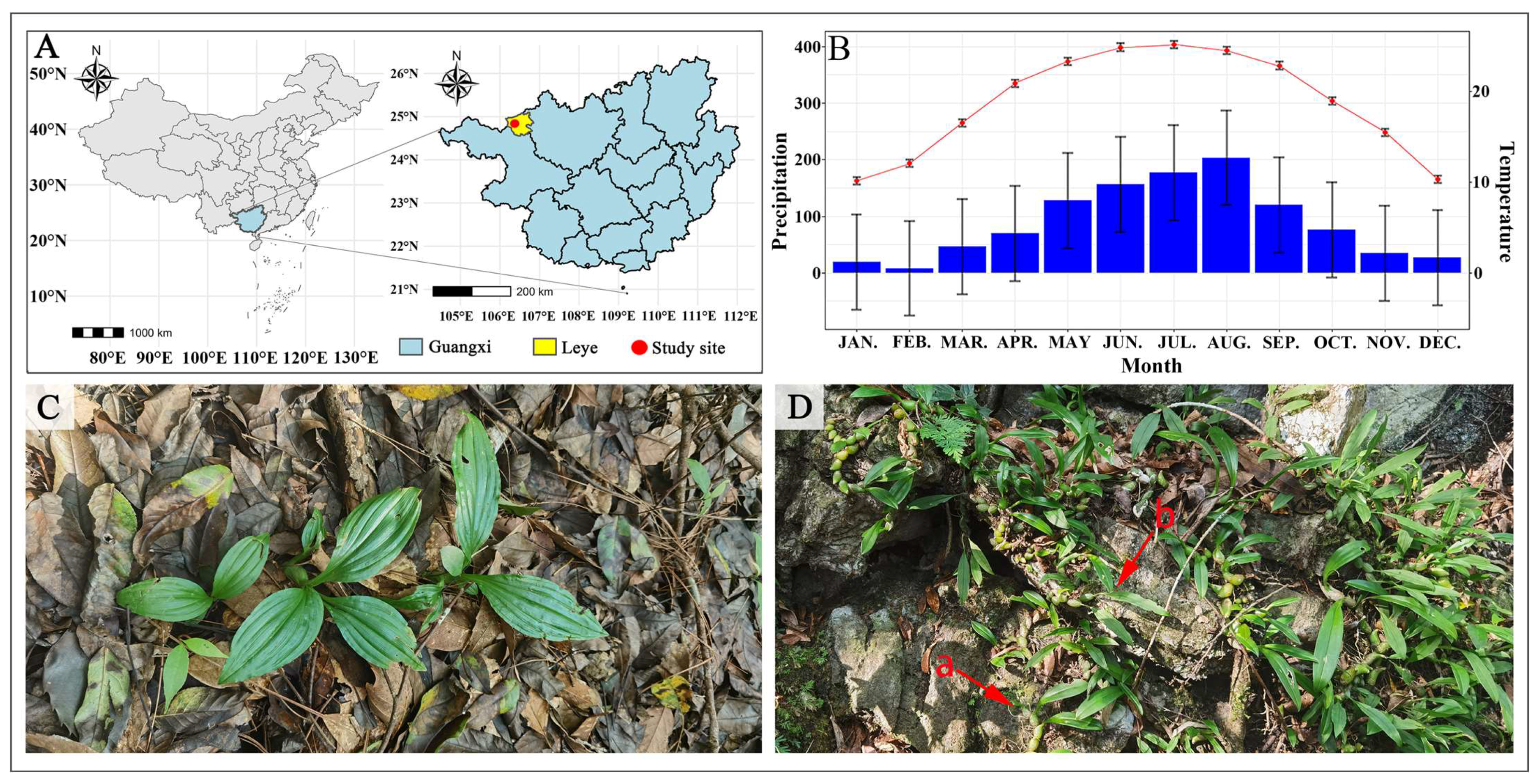 Plants 14 01161 g001