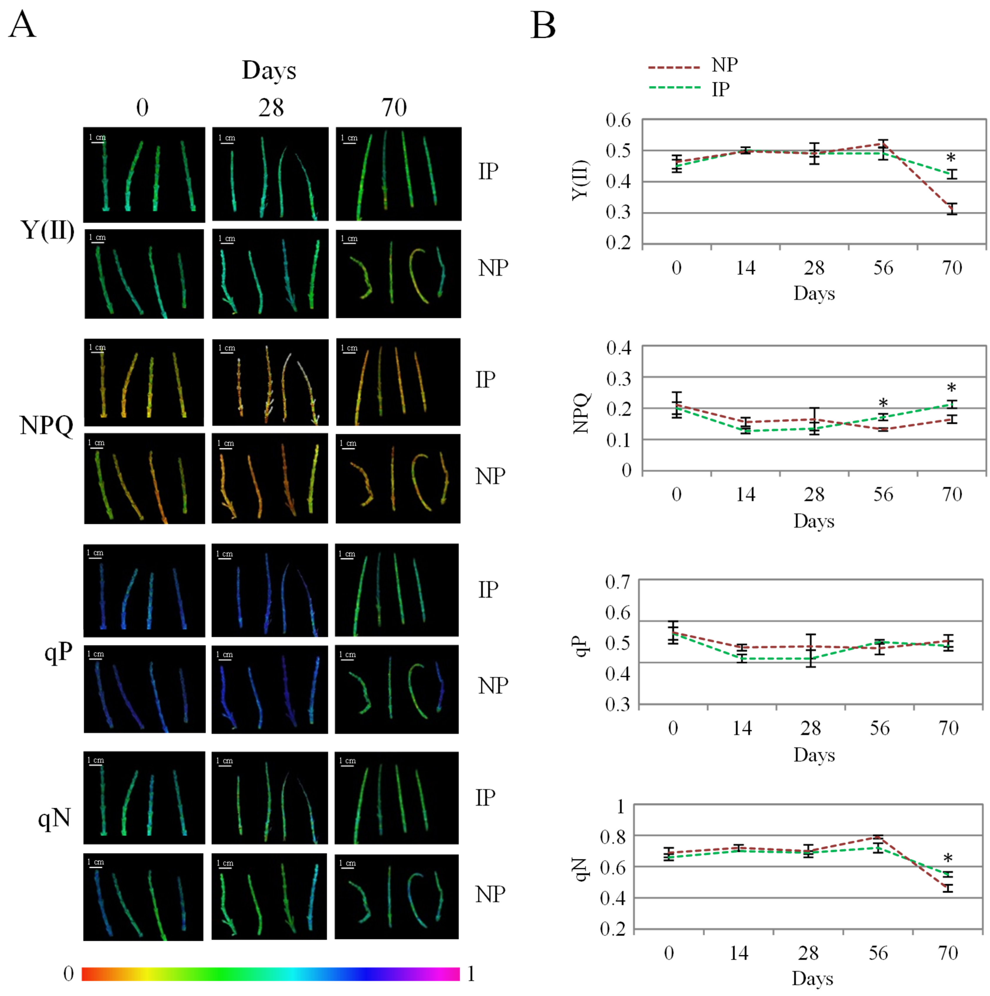 Plants 14 01164 g003 Plants 14 01164 g003