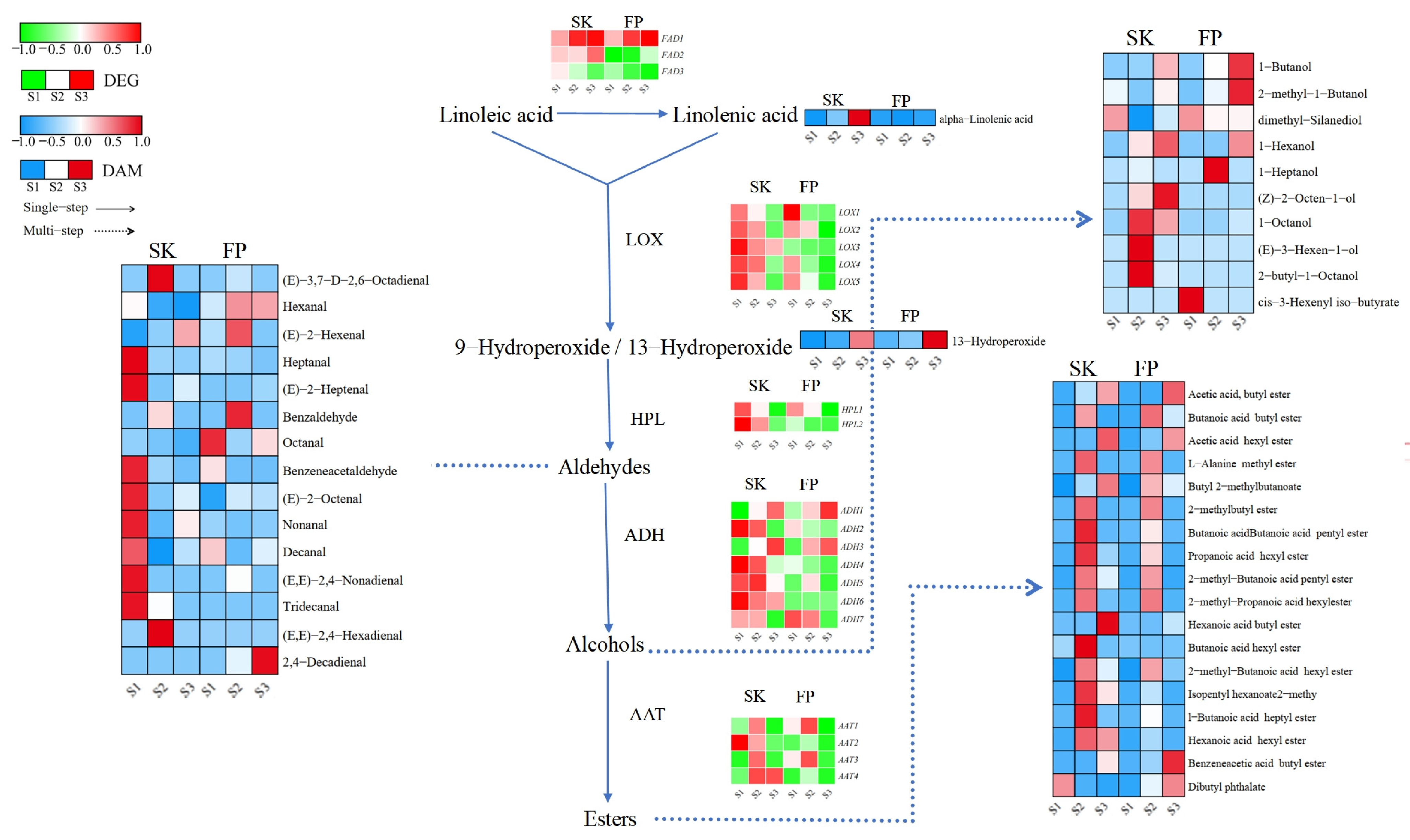 Plants 14 01165 g004