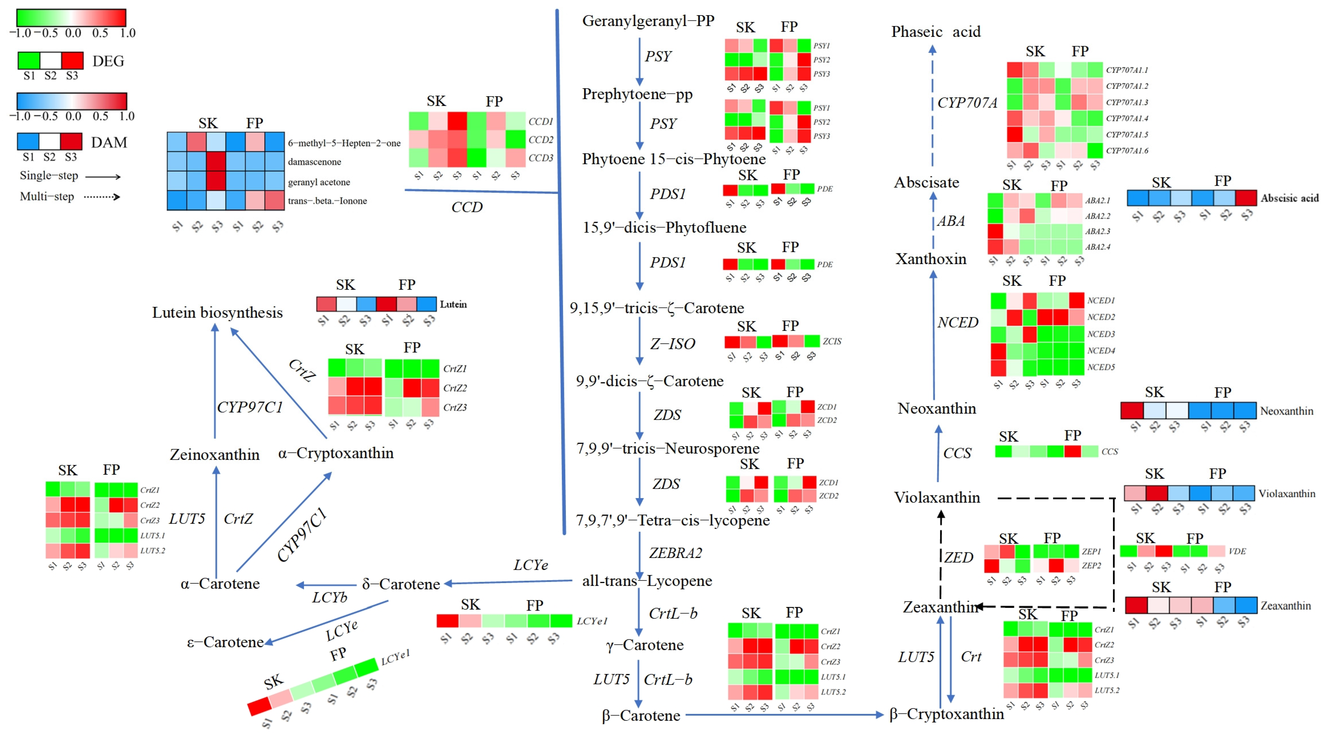 Plants 14 01165 g005