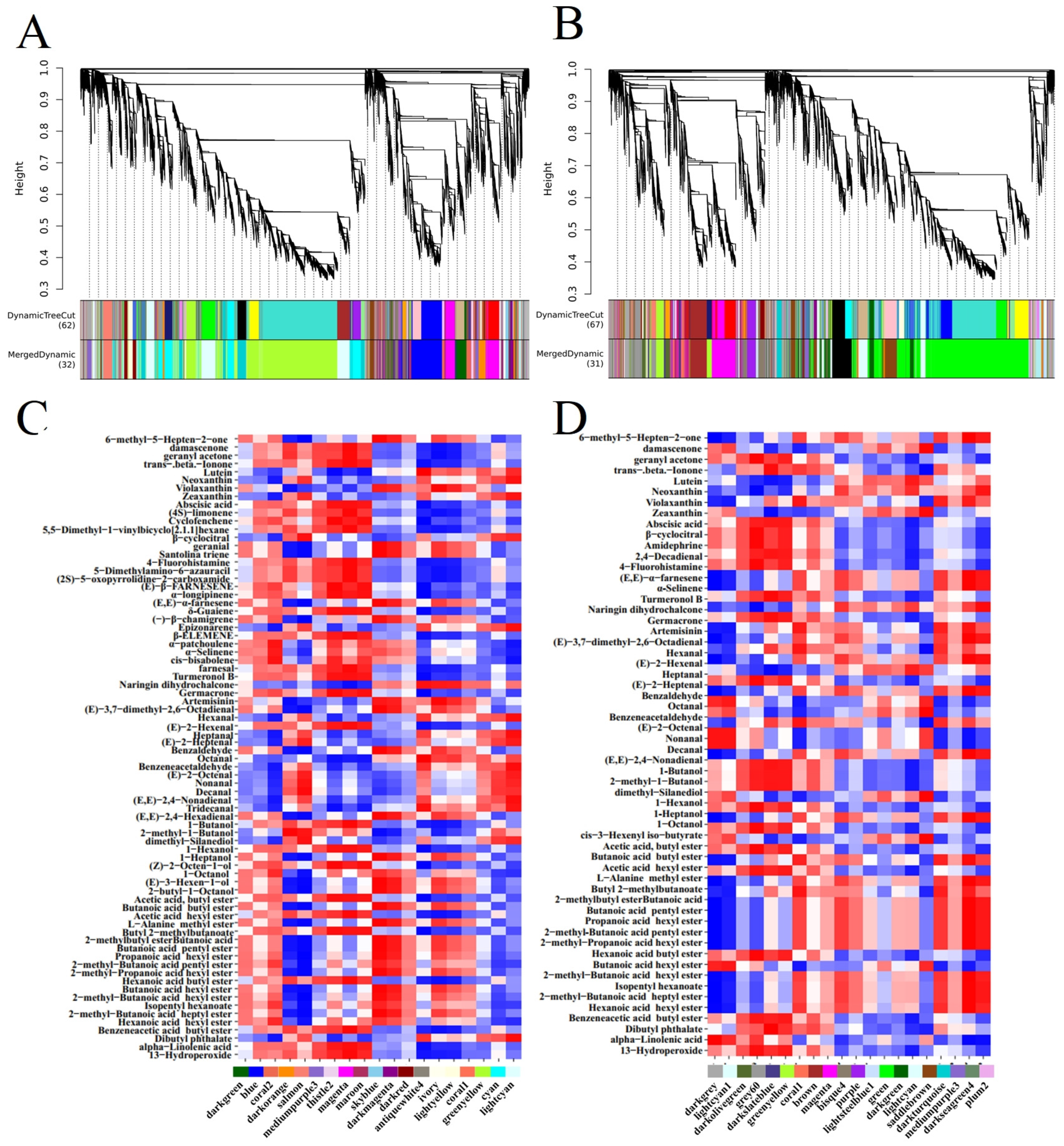 Plants 14 01165 g006