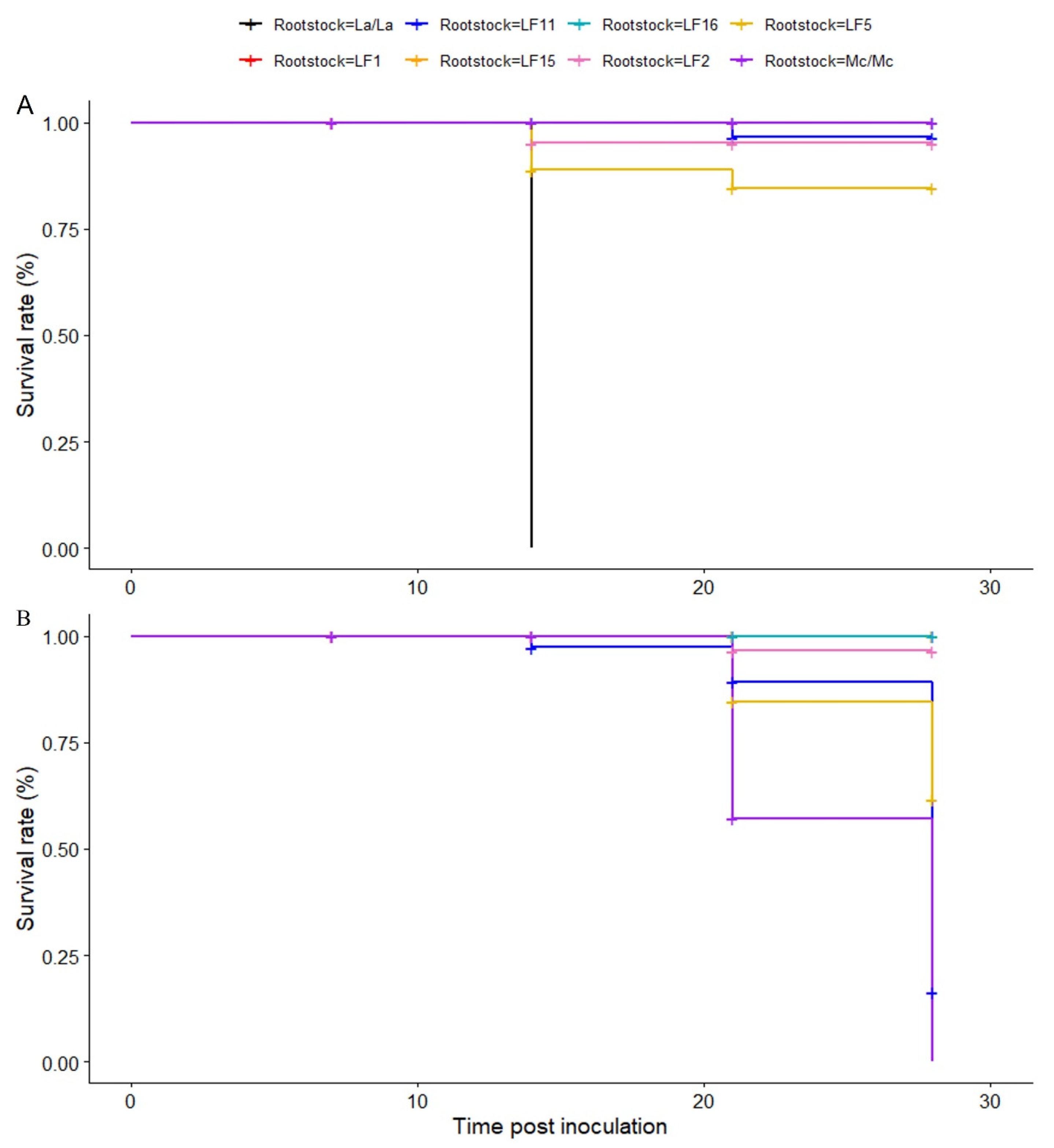 Plants 14 01168 g002