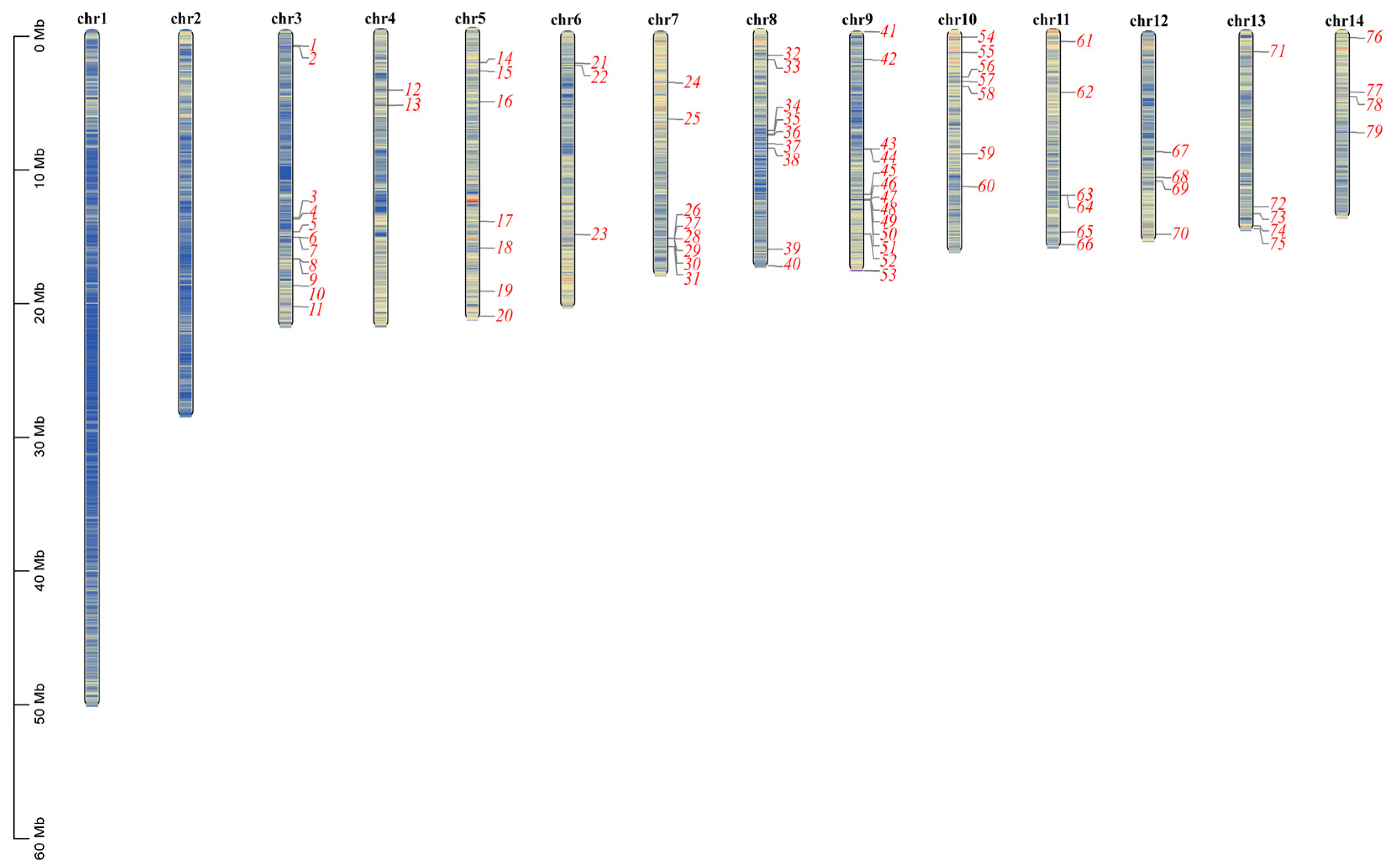 Plants 14 01179 g002