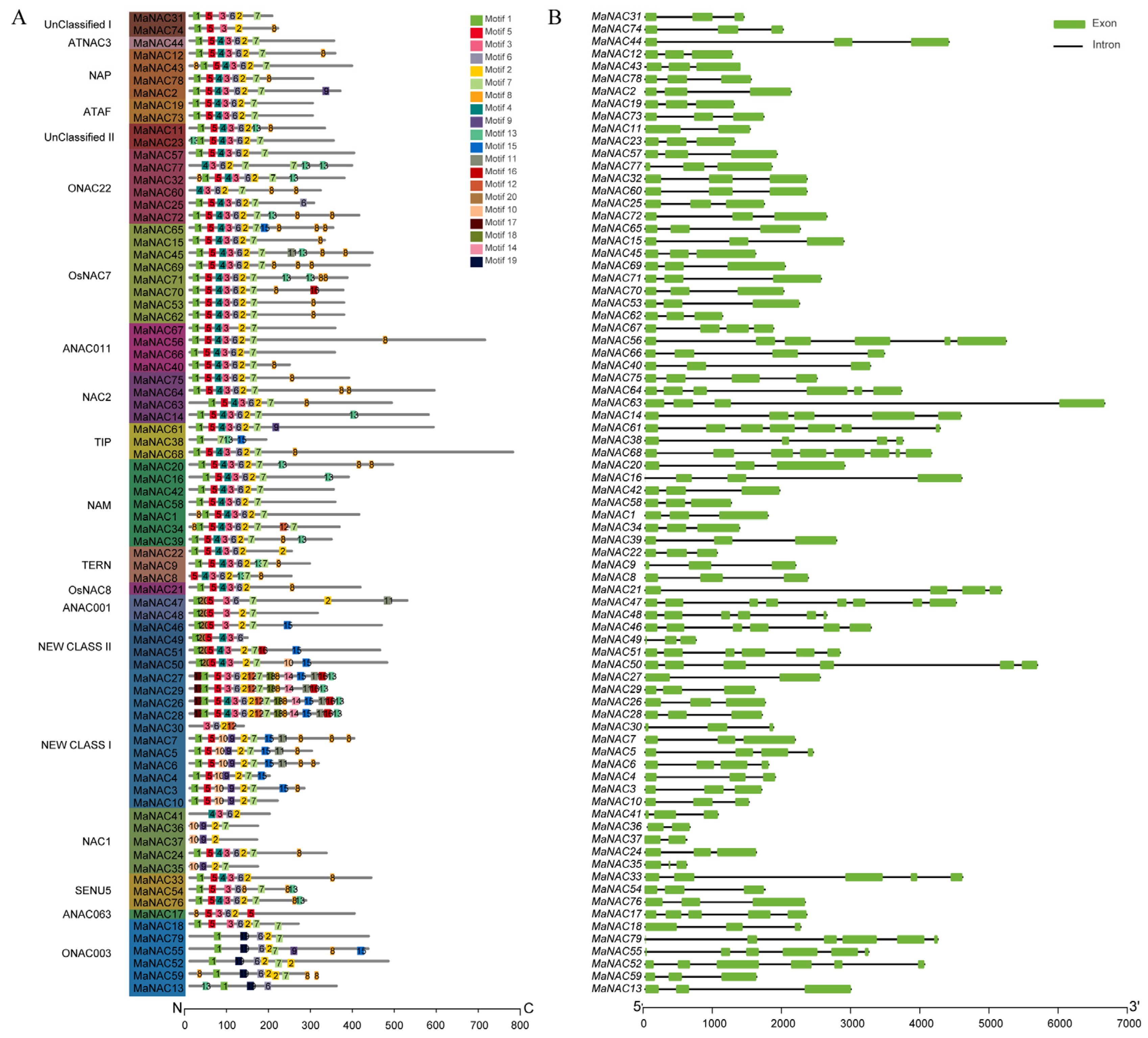 Plants 14 01179 g003