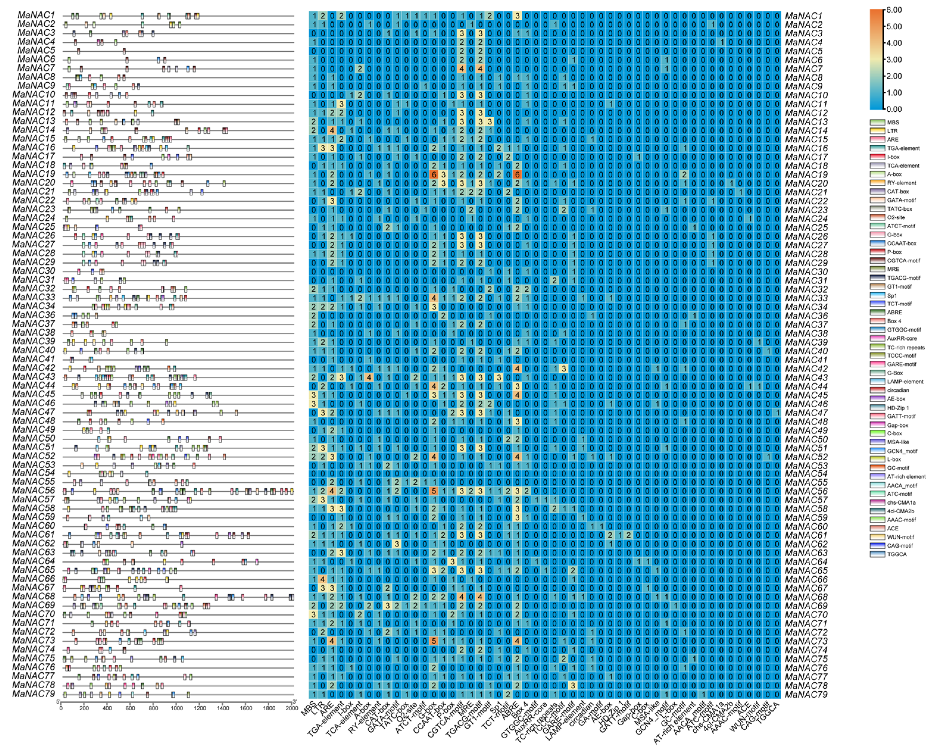 Plants 14 01179 g004