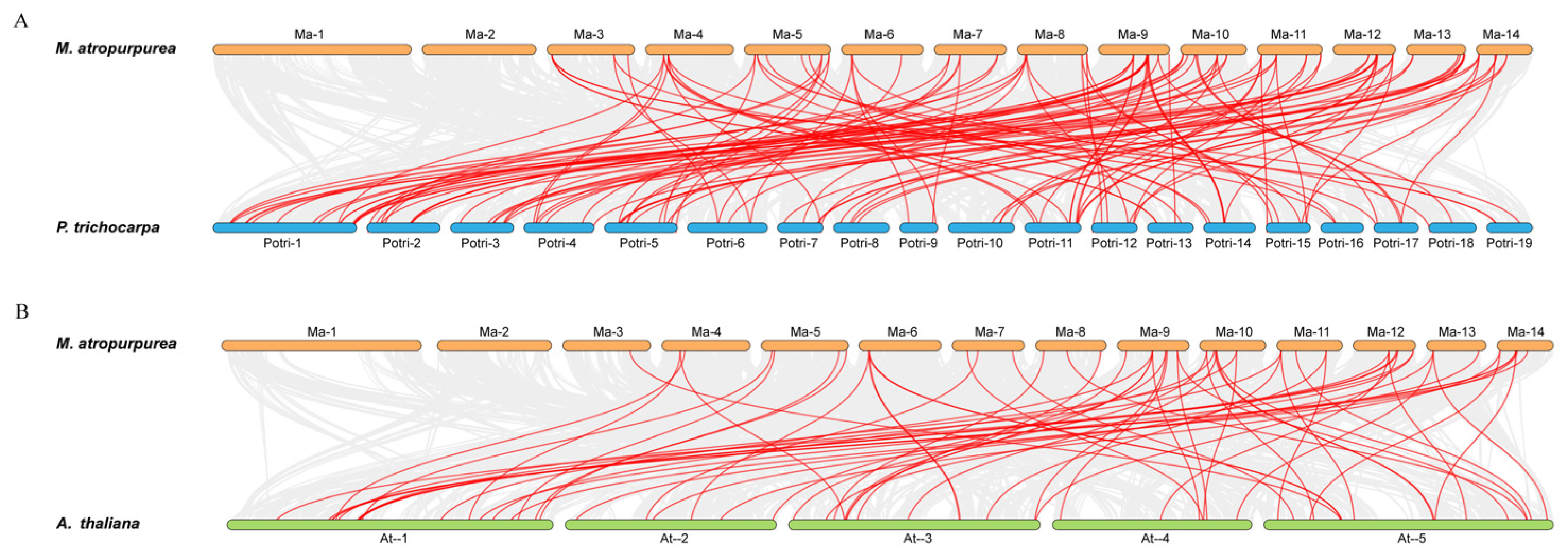 Plants 14 01179 g006
