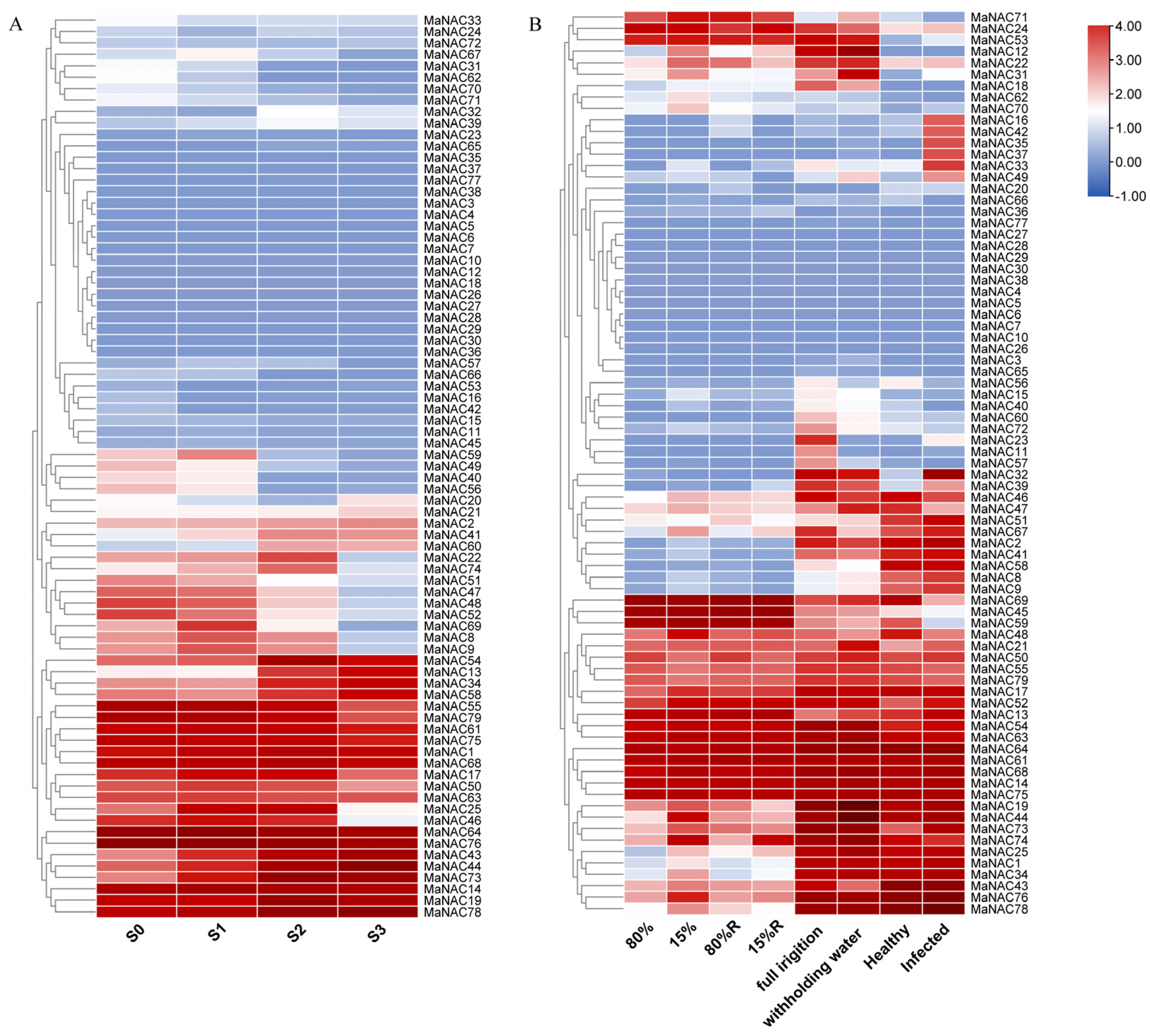 Plants 14 01179 g007