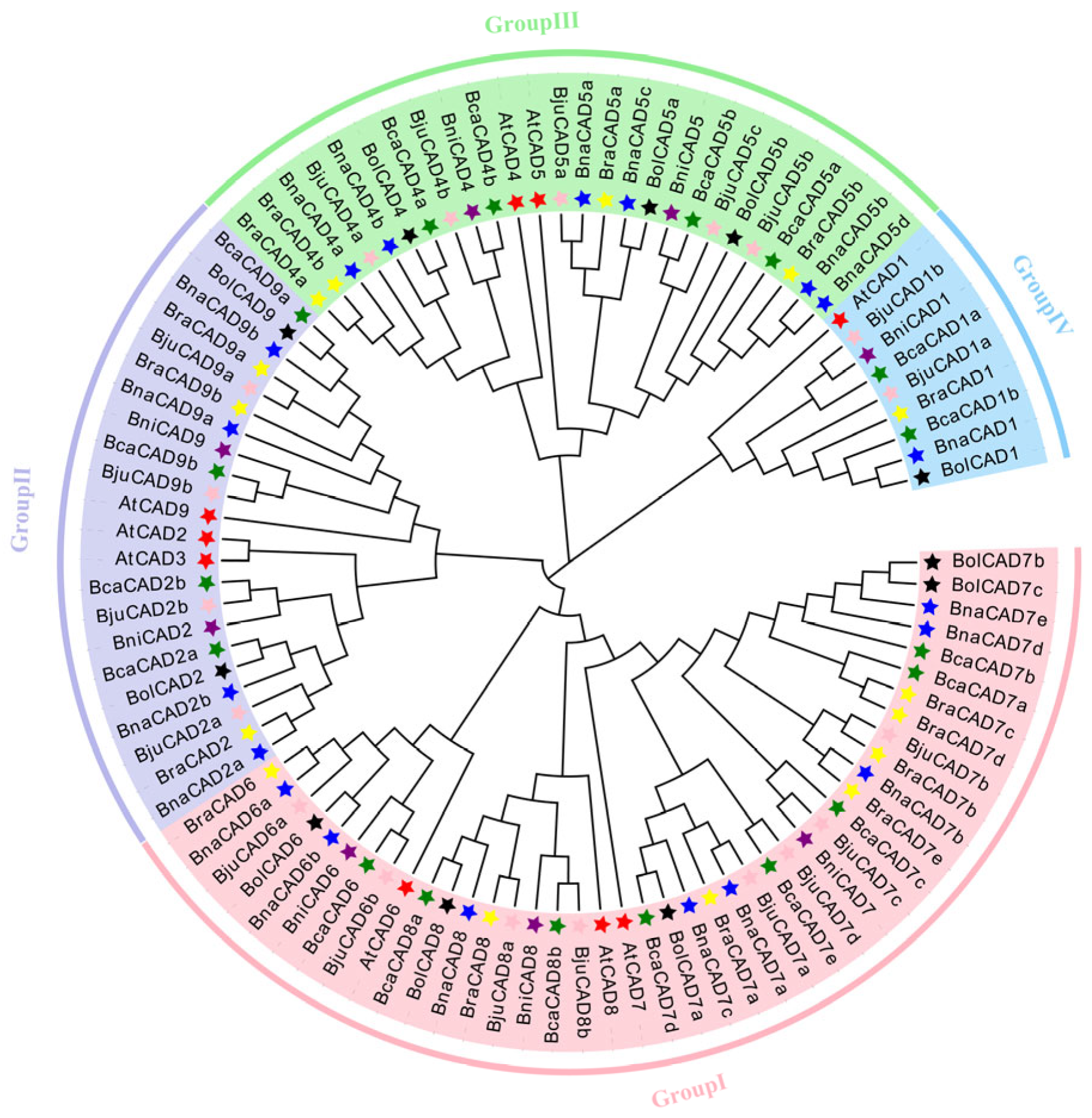 Plants 14 01184 g001