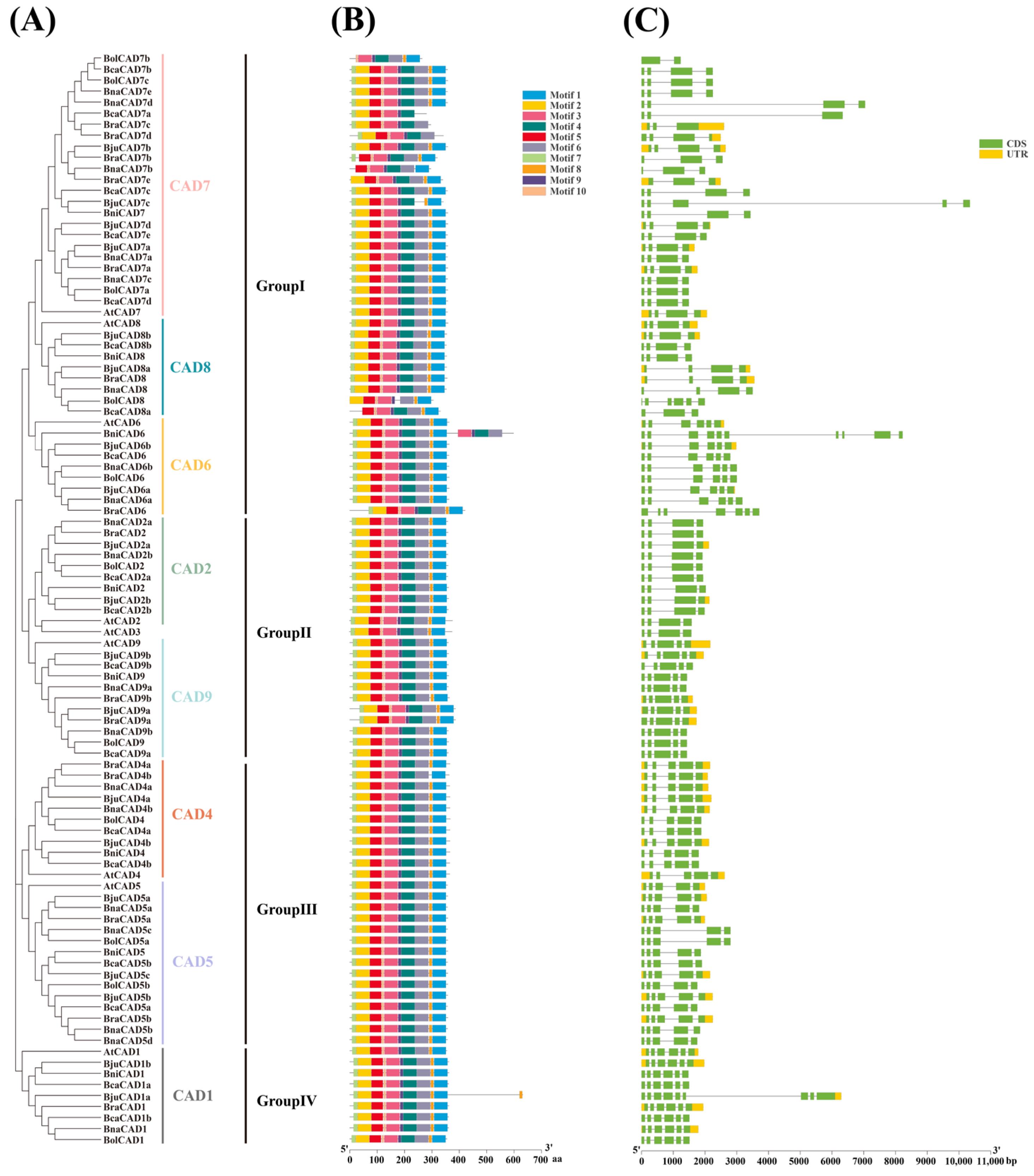 Plants 14 01184 g003