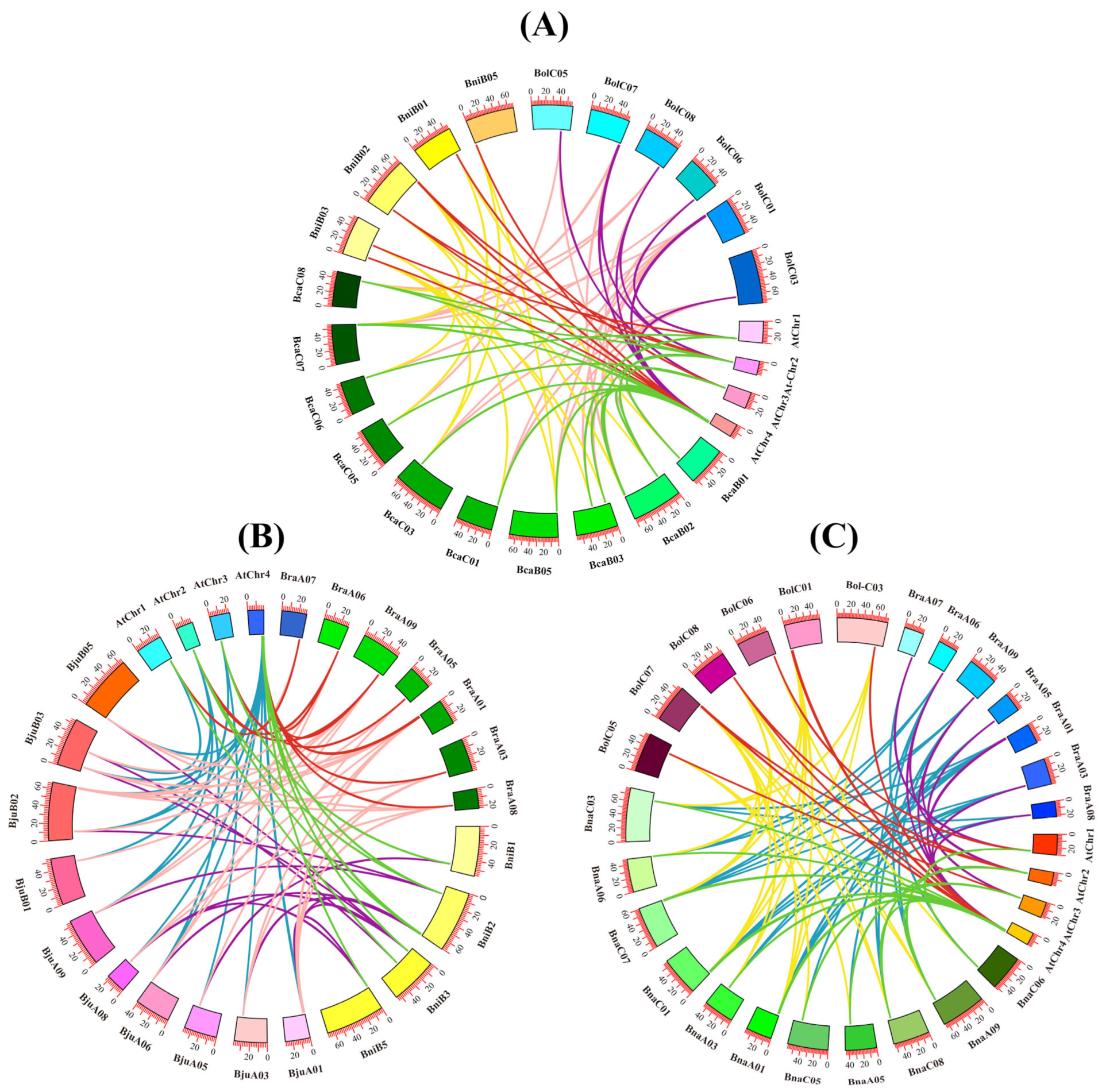 Plants 14 01184 g005