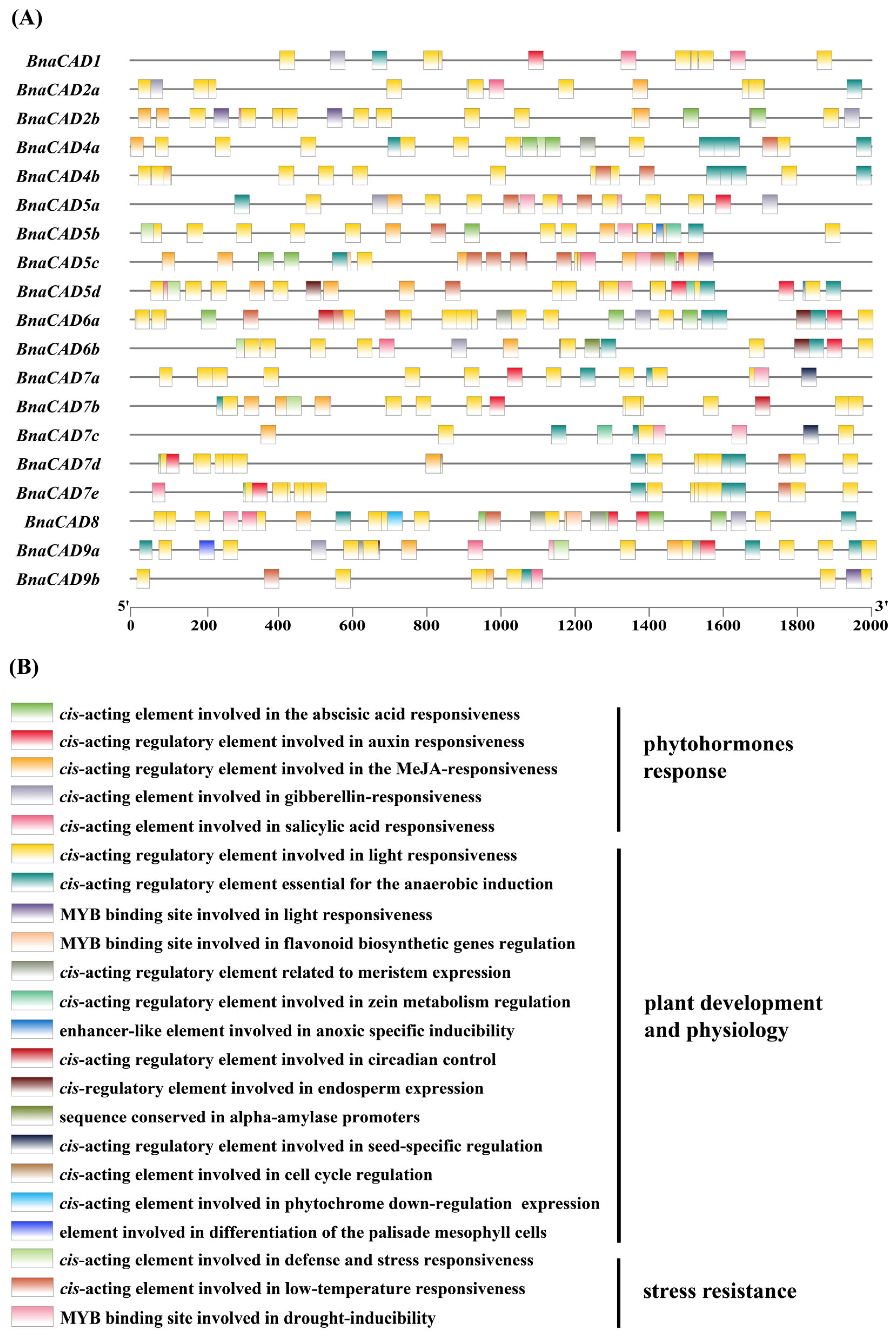 Plants 14 01184 g007