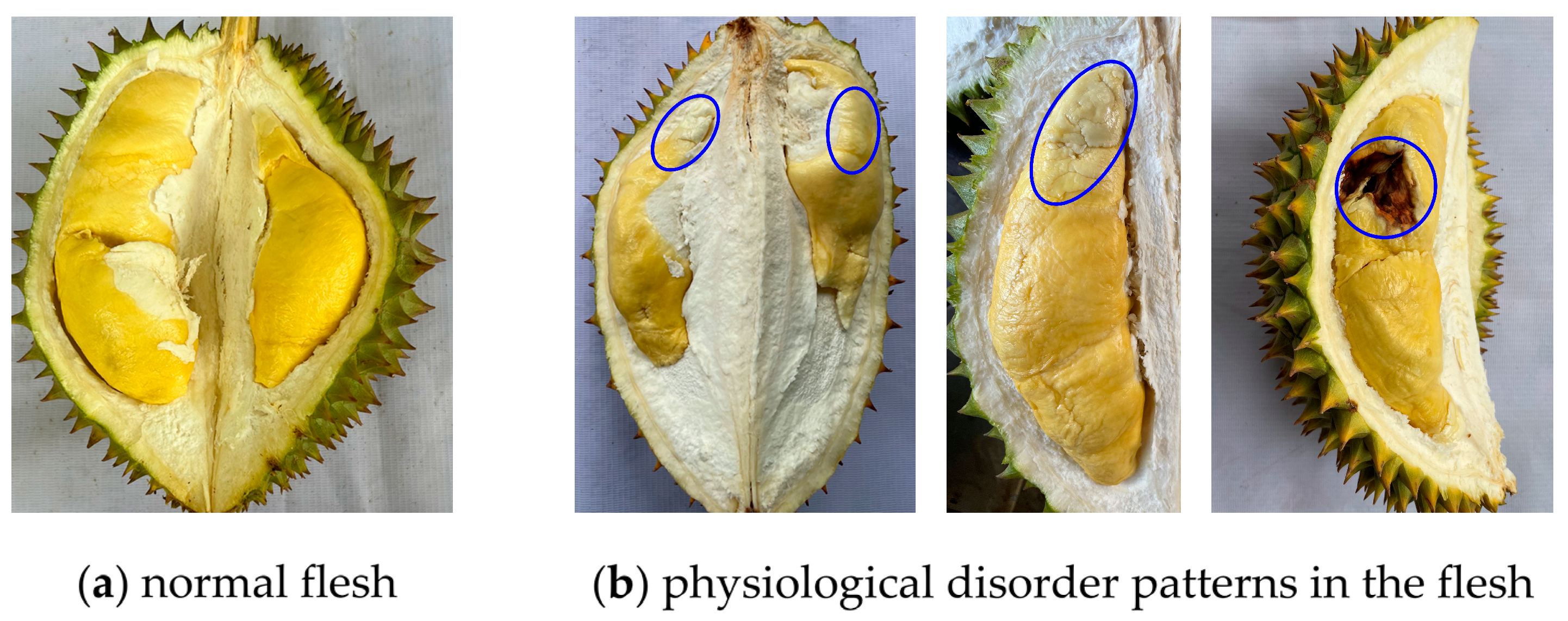 Plants 14 01185 g002