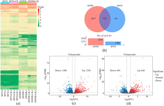 Combined Analysis of Transcriptome and Metabolome Reveals the Heat ...
