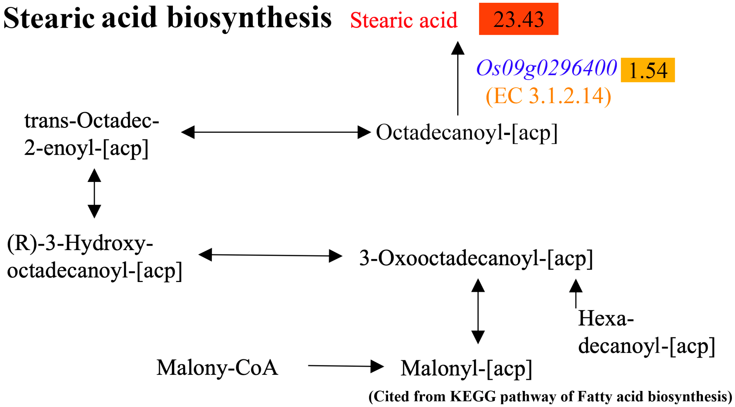 Plants 14 01192 g006