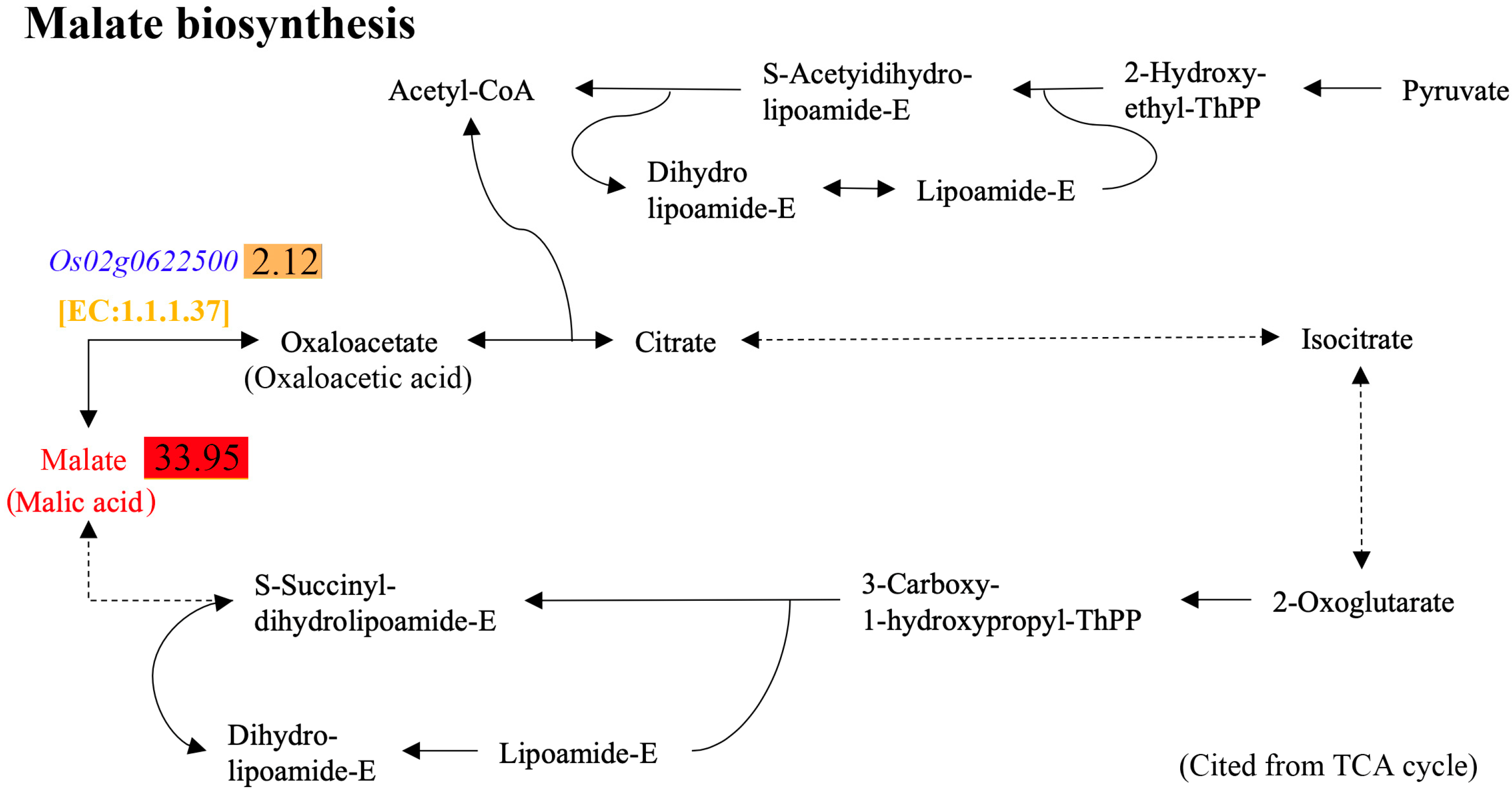 Plants 14 01192 g008